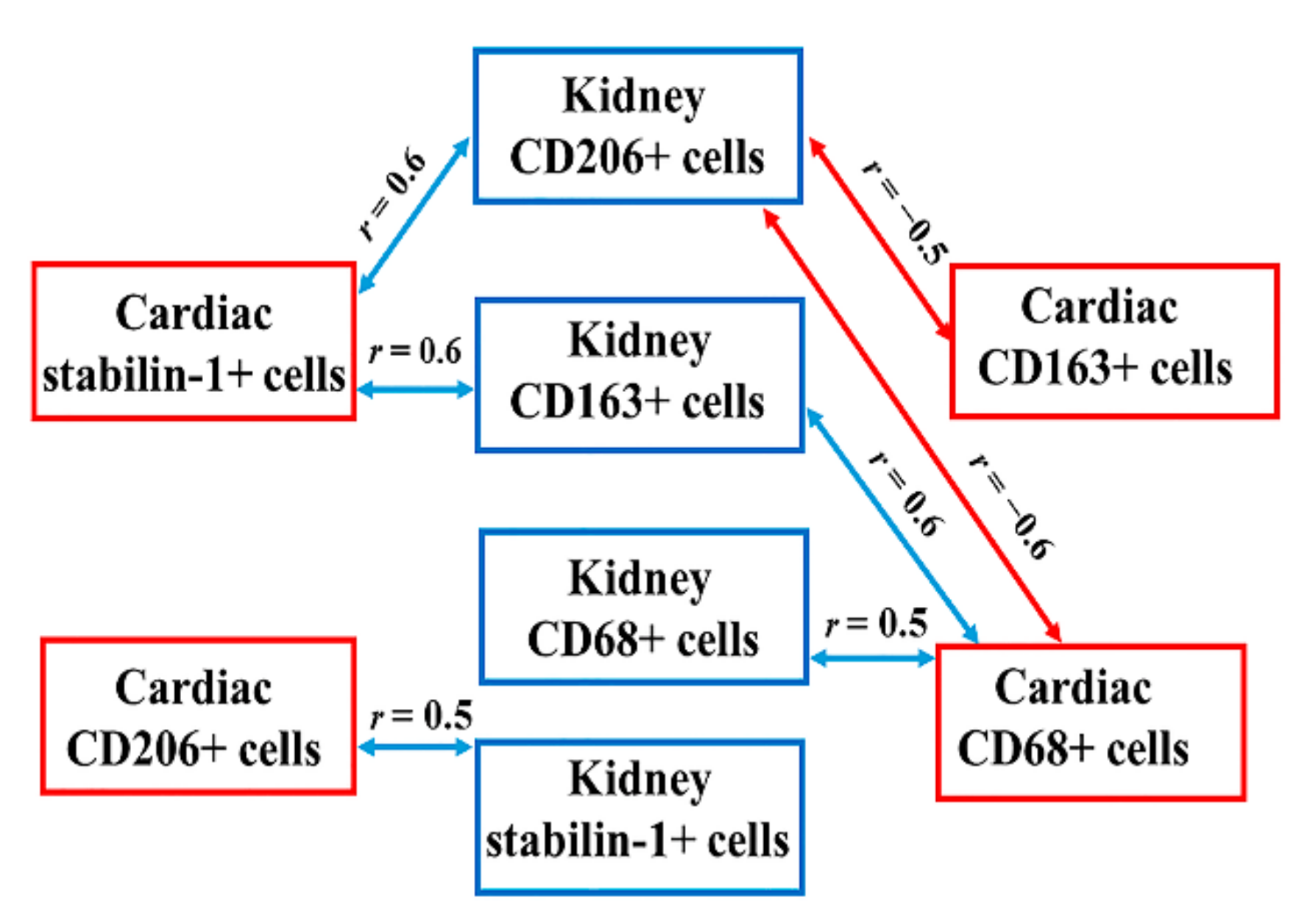 Jpm 12 00127 g003 550