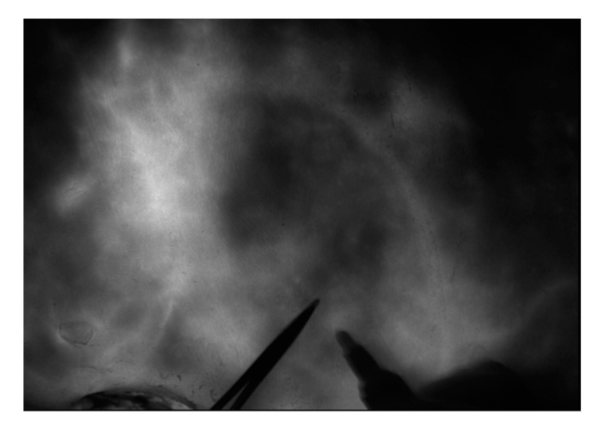 Jpm 12 00132 g003 550