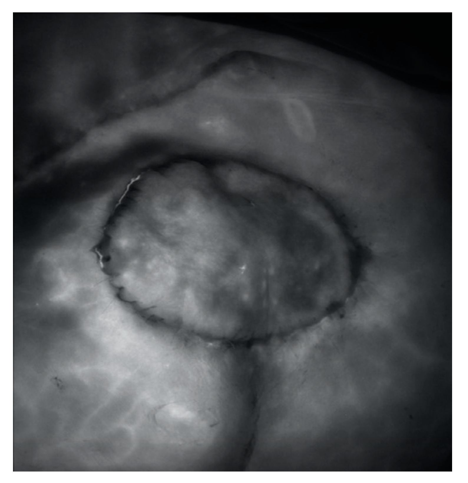 Jpm 12 00132 g005 550