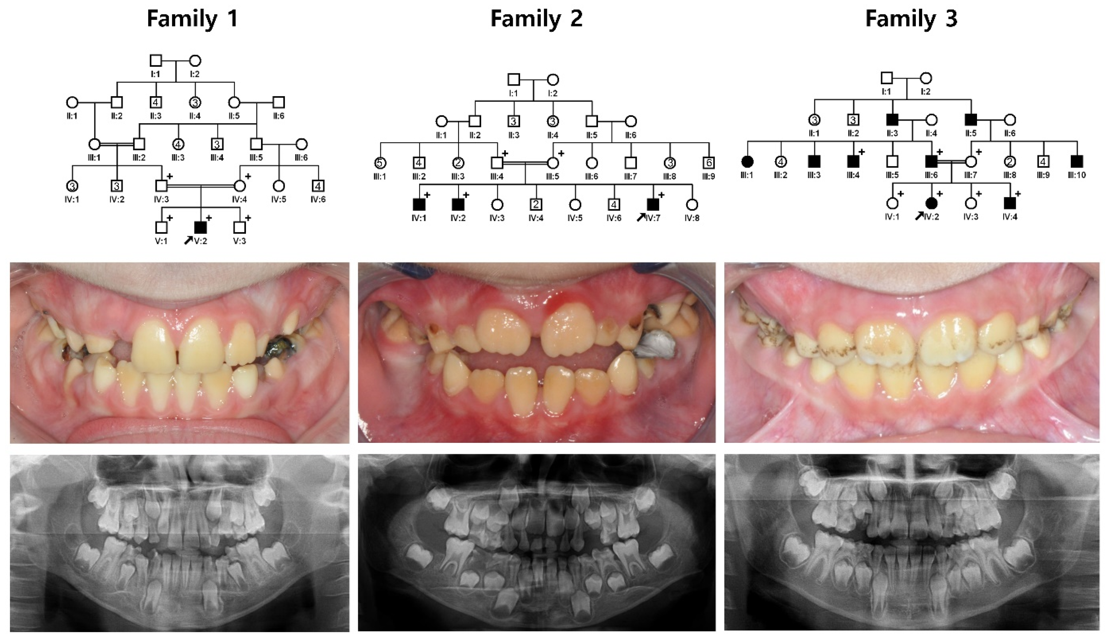 Jpm 12 00150 g001 Jpm 12 00150 g001