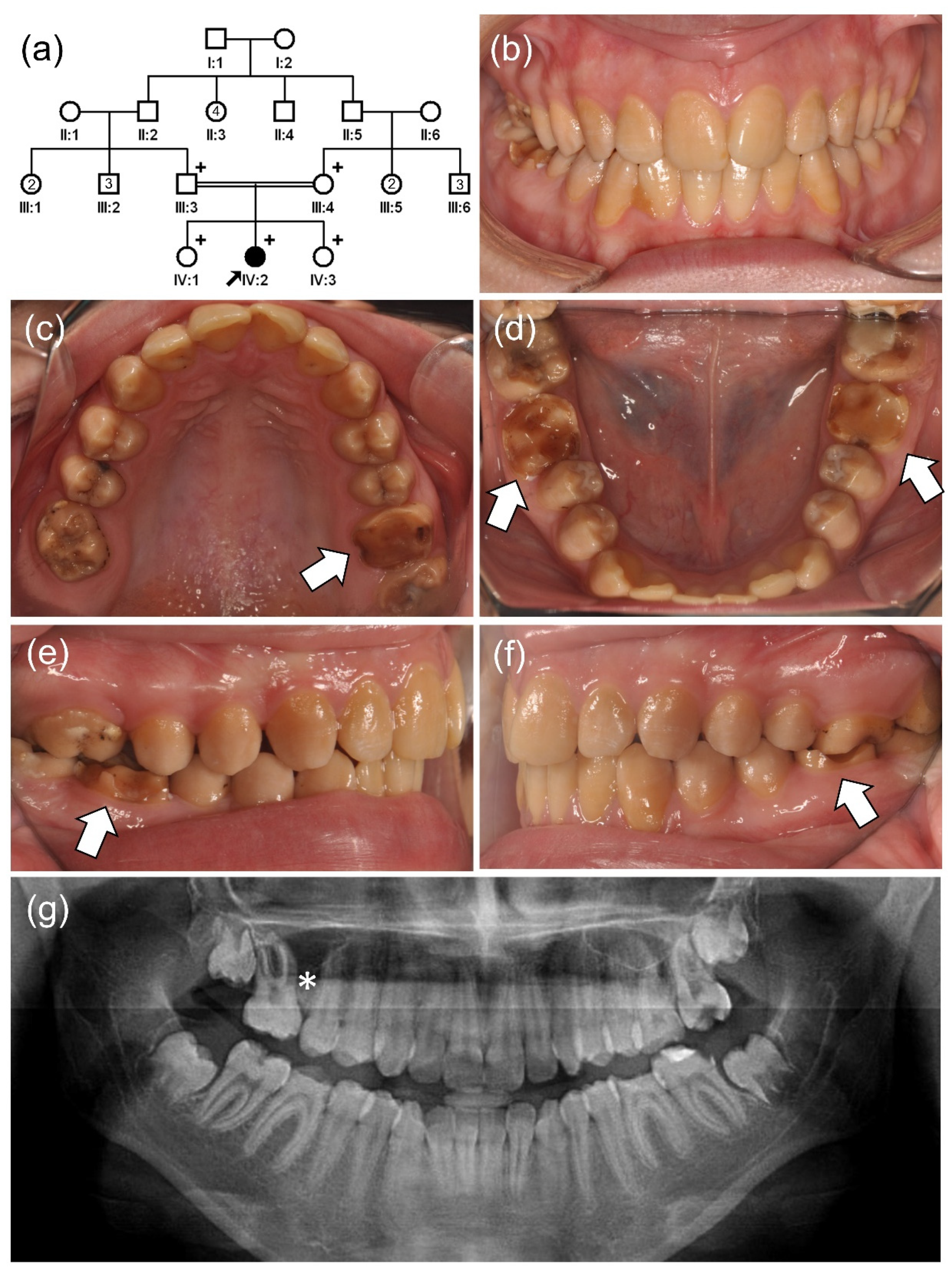Jpm 12 00150 g002 Jpm 12 00150 g002