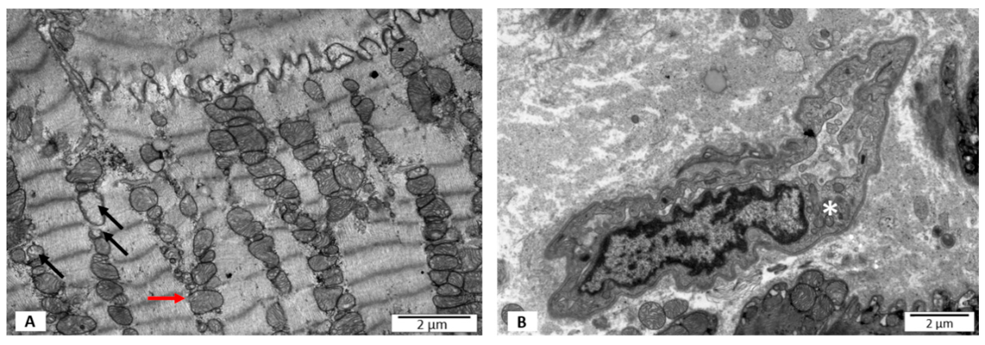 Jpm 12 00177 g001 550
