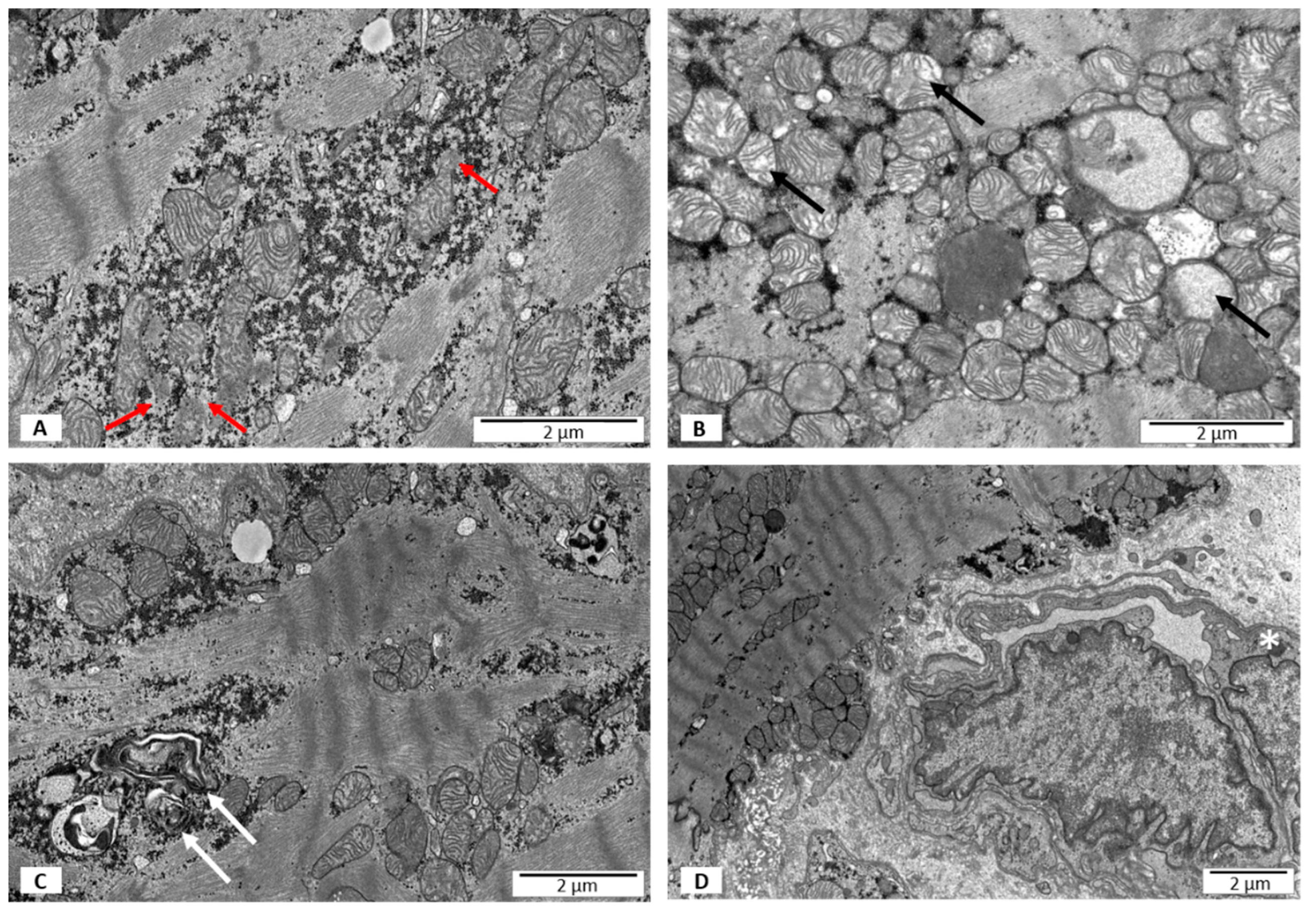 Jpm 12 00177 g002 550