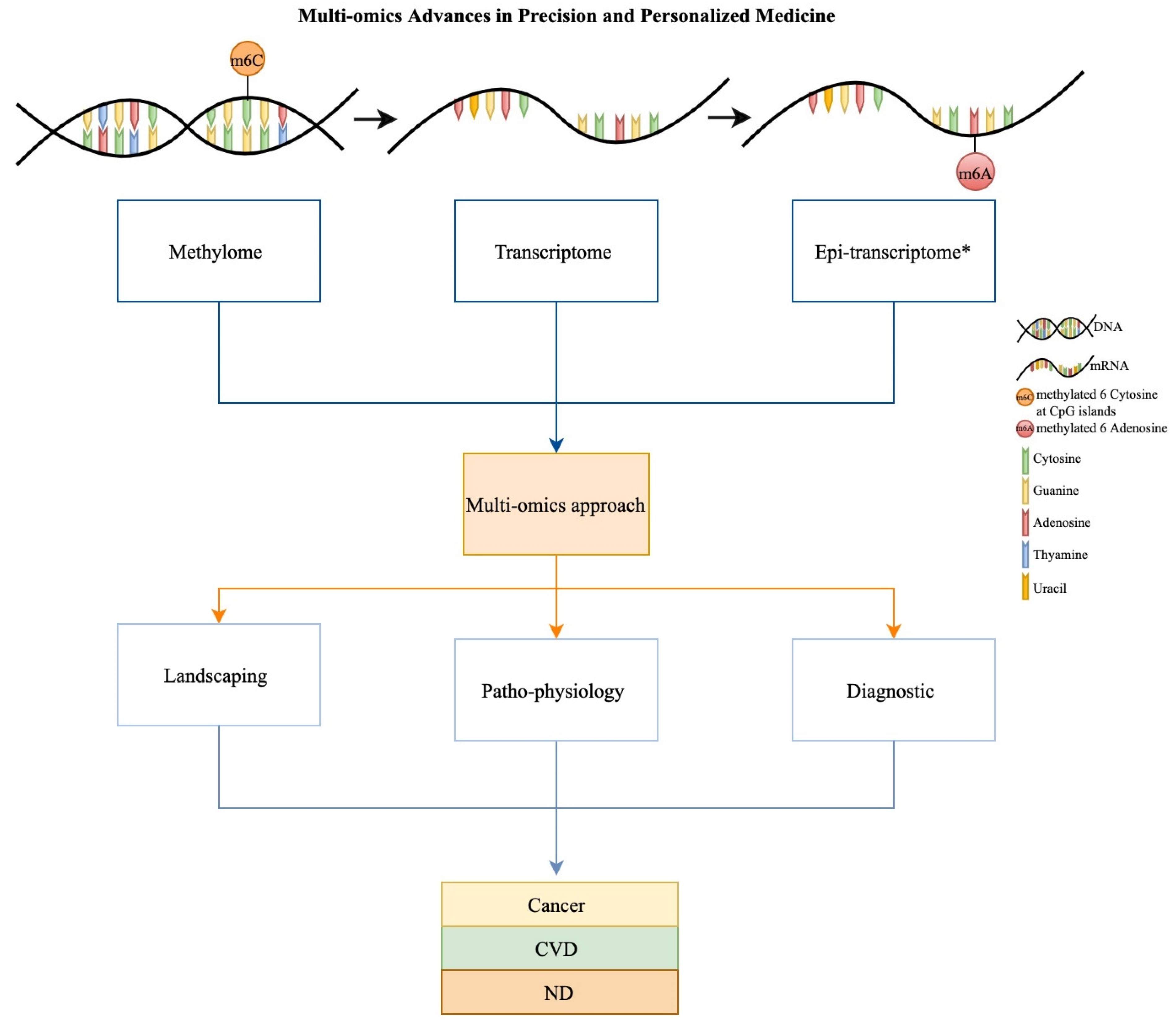 Transcriptomic signatures across human tissues identify functional rare  genetic variation