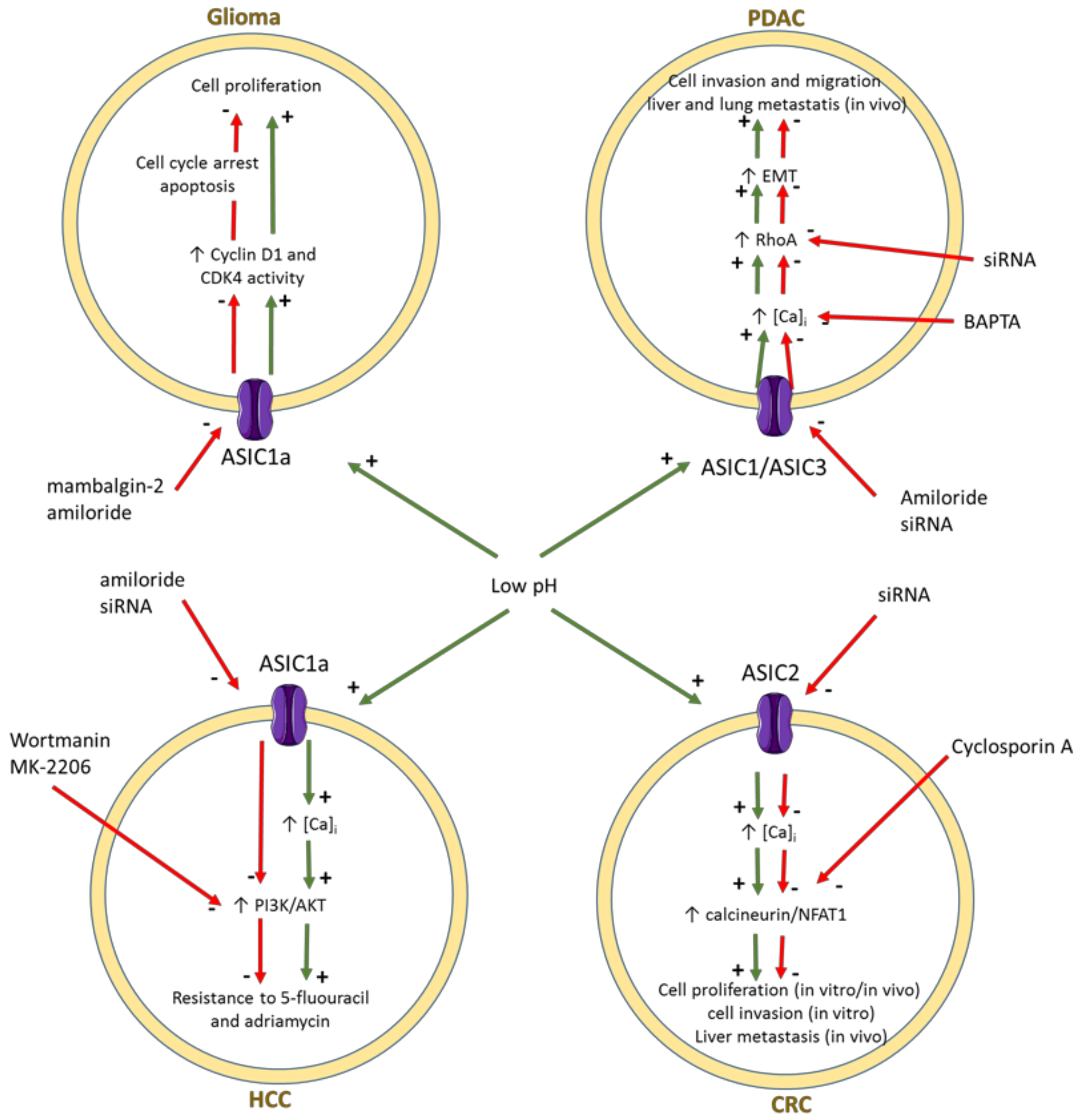 Jpm 12 00210 g001 550