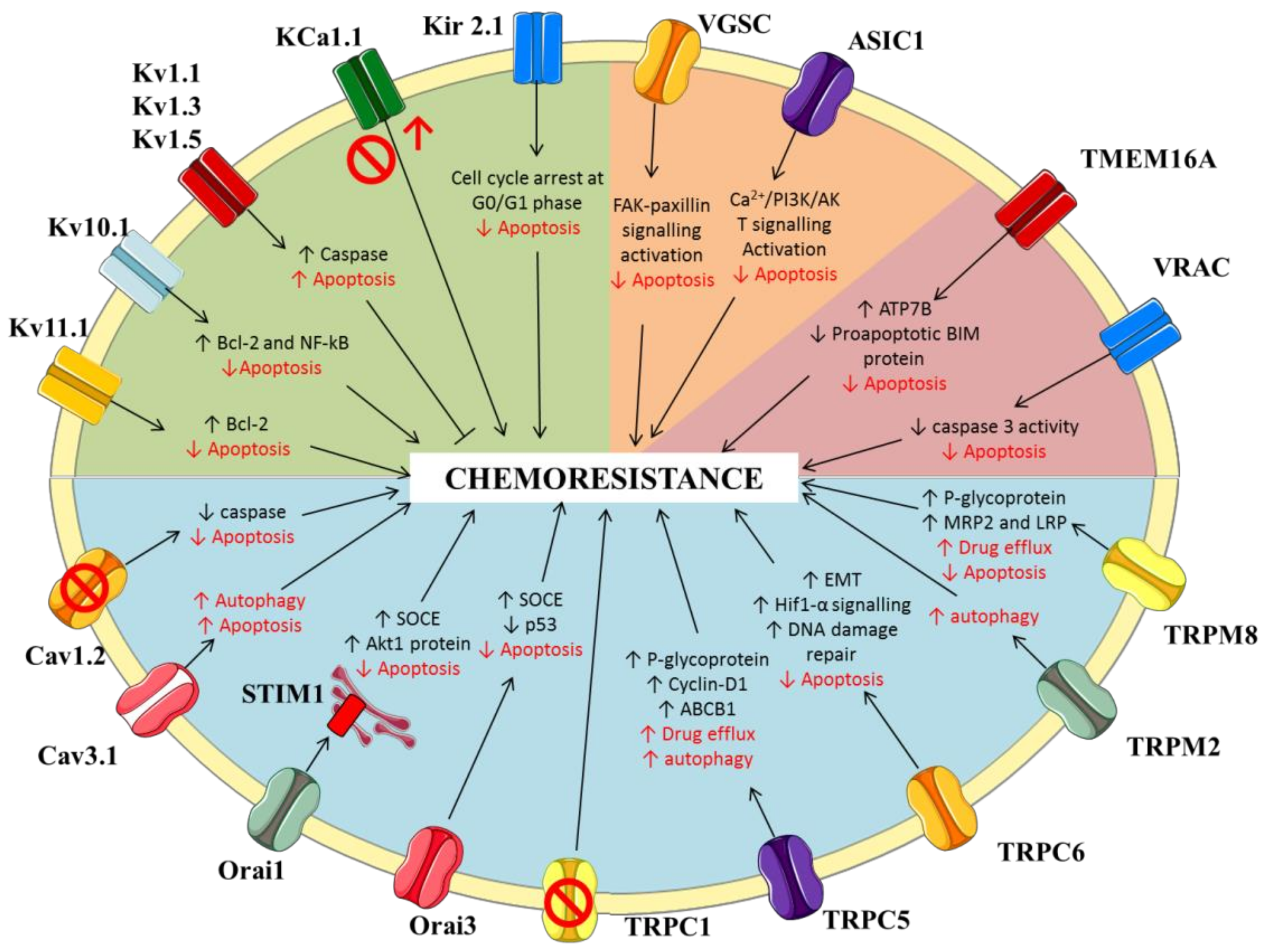 Jpm 12 00210 g002 550