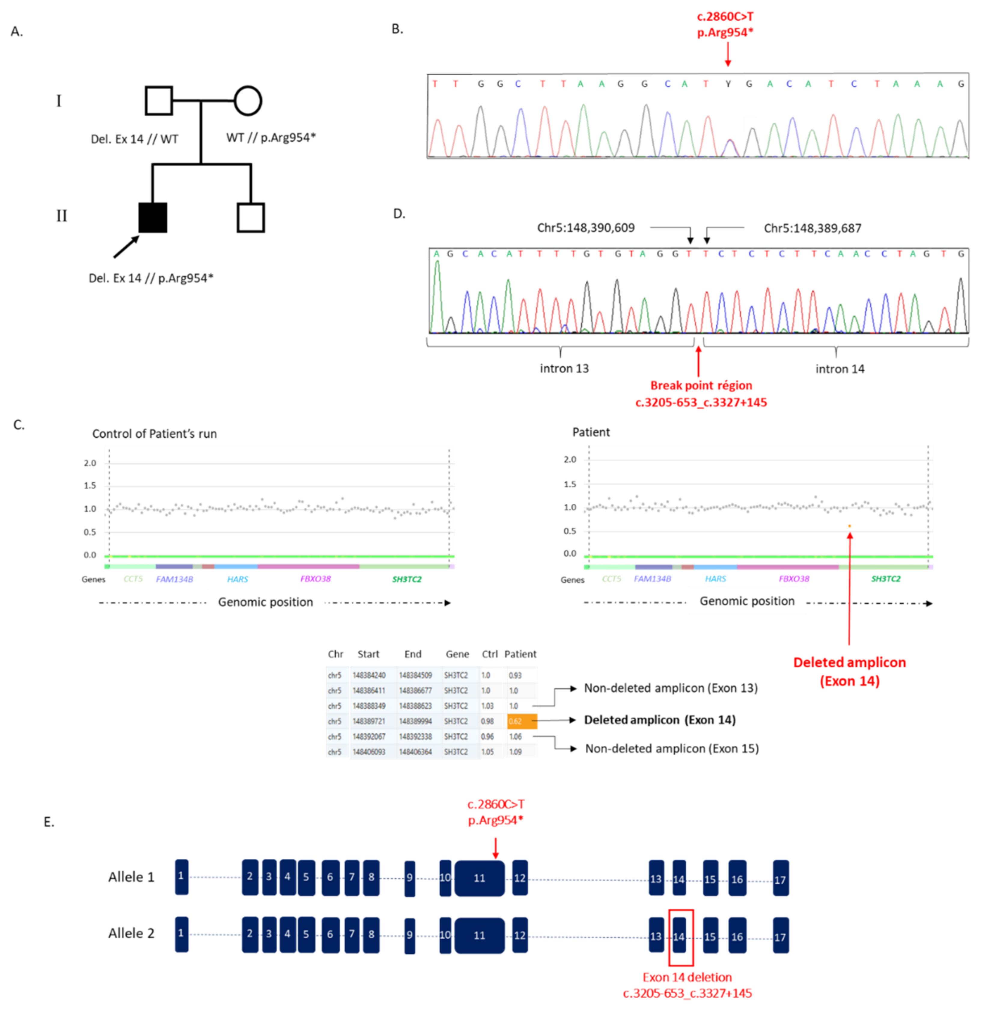 Jpm 12 00212 g001 Jpm 12 00212 g001