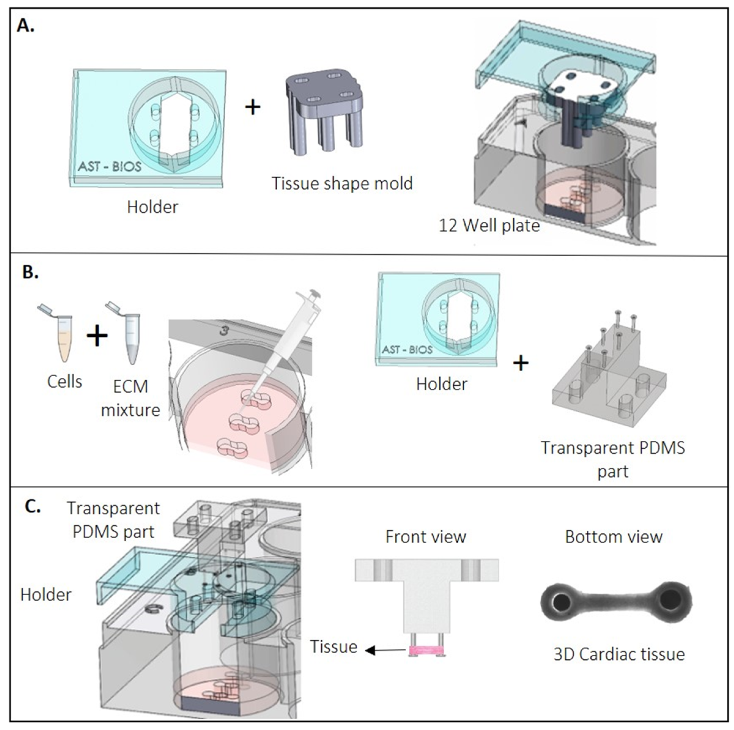 Jpm 12 00214 g003 550