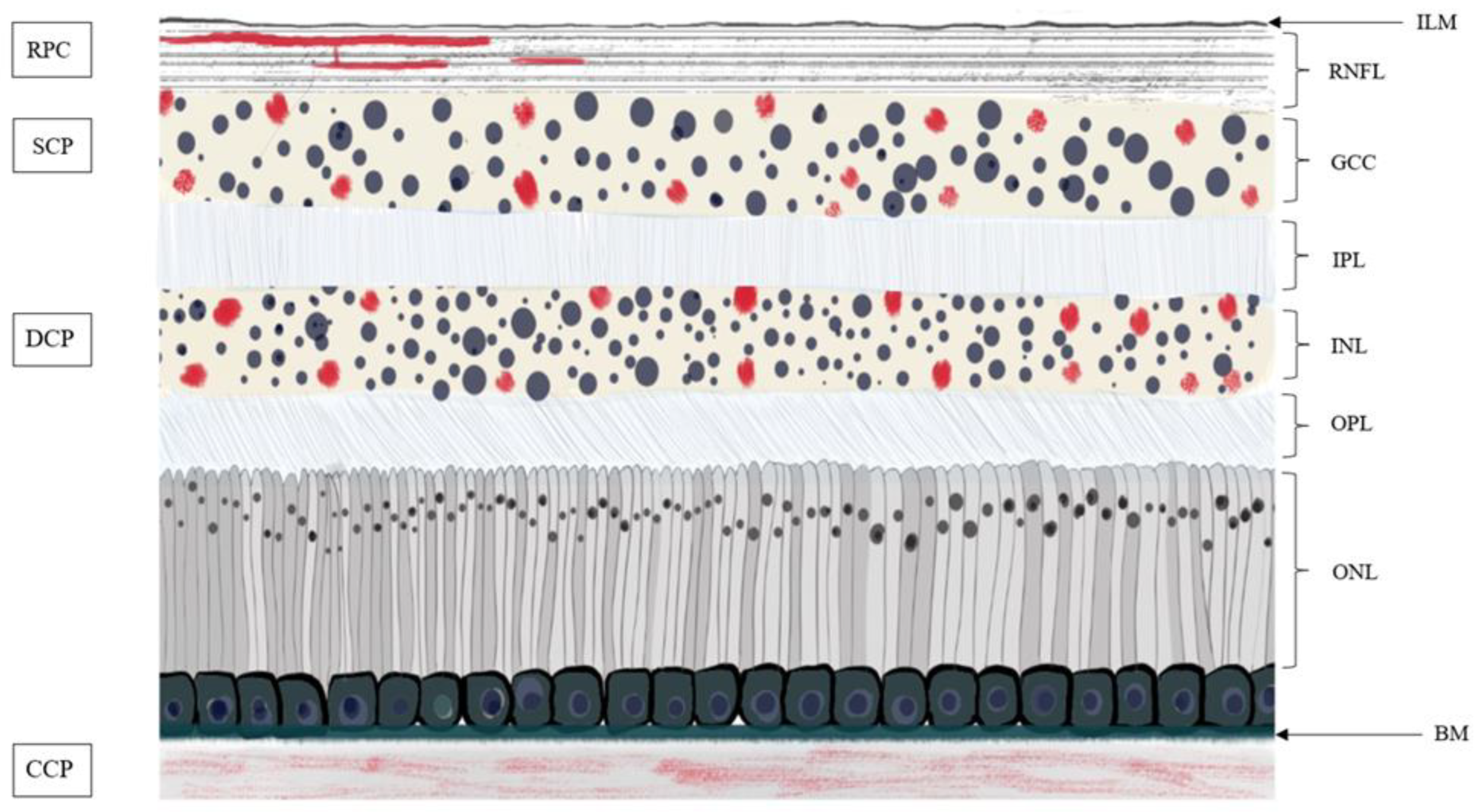 Jpm 12 00230 g002 550