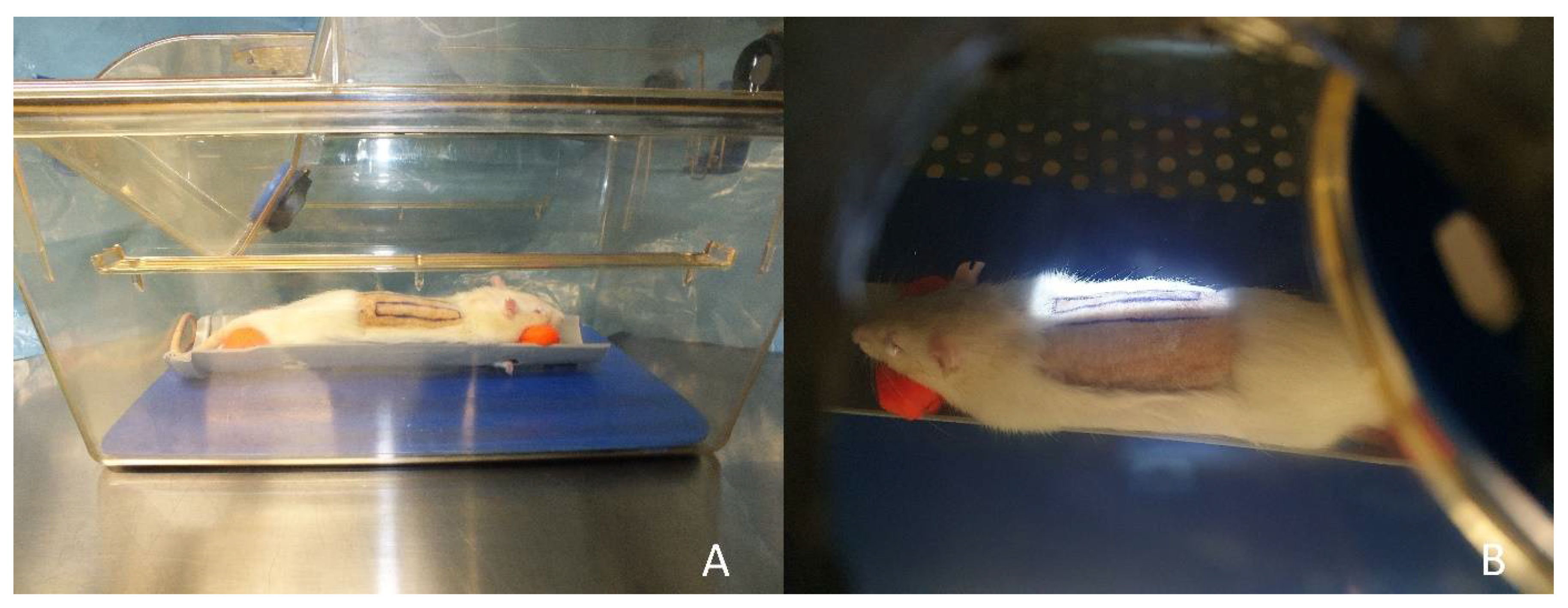 Jpm 12 00237 g002 Jpm 12 00237 g002