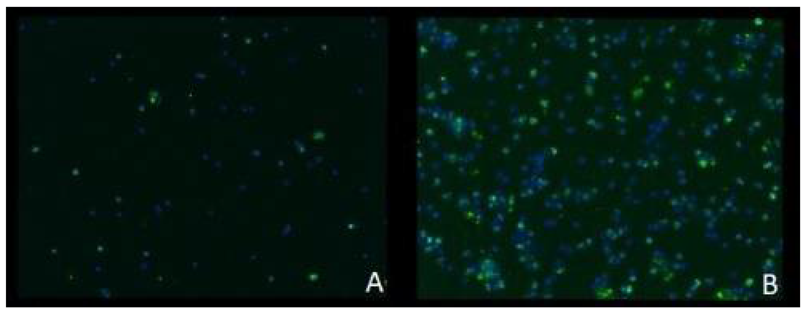 Jpm 12 00237 g008 Jpm 12 00237 g008