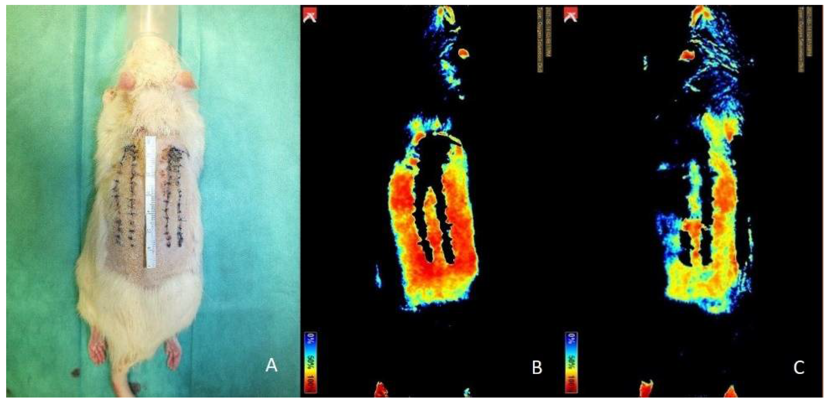 Jpm 12 00237 g009 Jpm 12 00237 g009