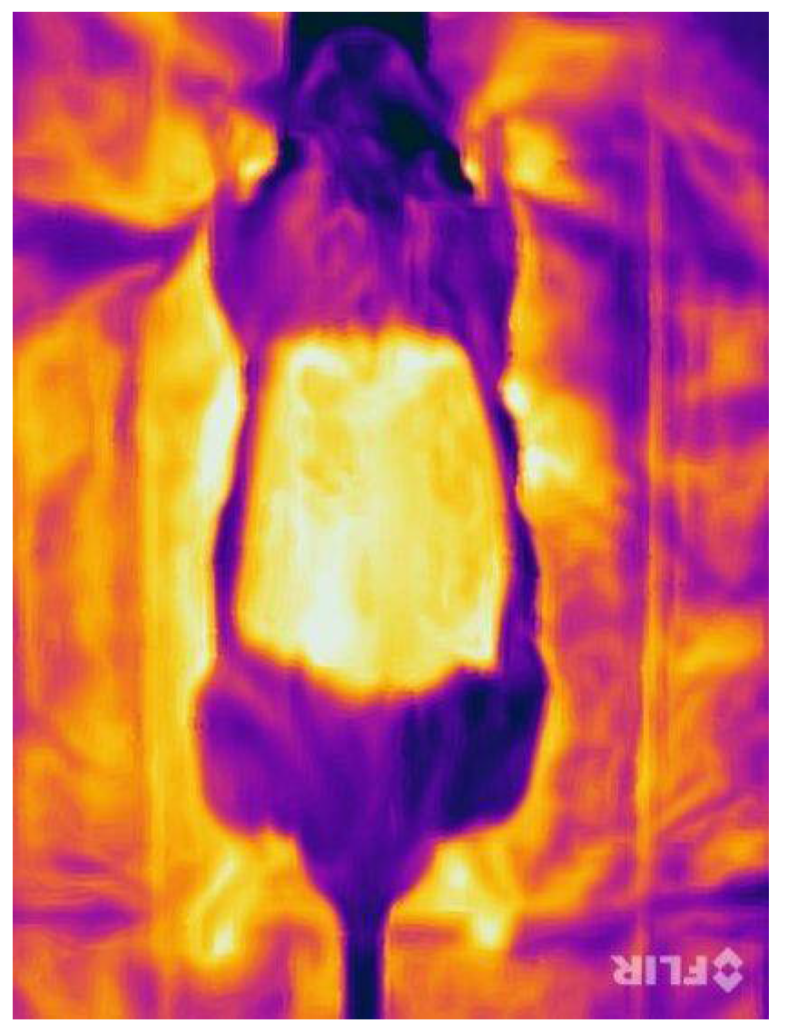 Jpm 12 00237 g010 Jpm 12 00237 g010