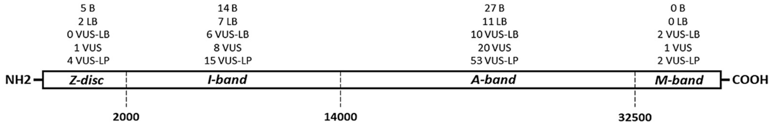 Jpm 12 00241 g002 550
