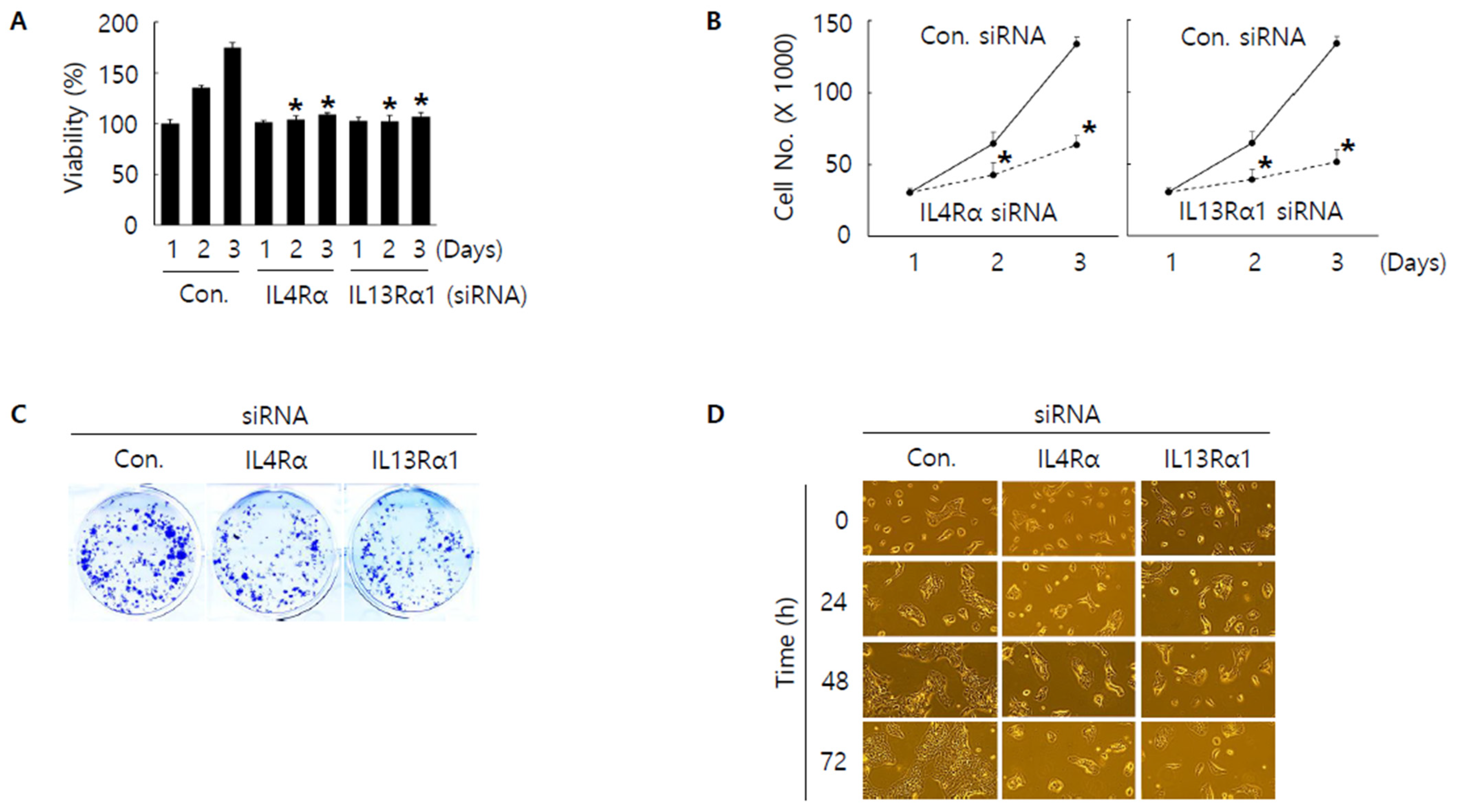 Jpm 12 00249 g003 Jpm 12 00249 g003