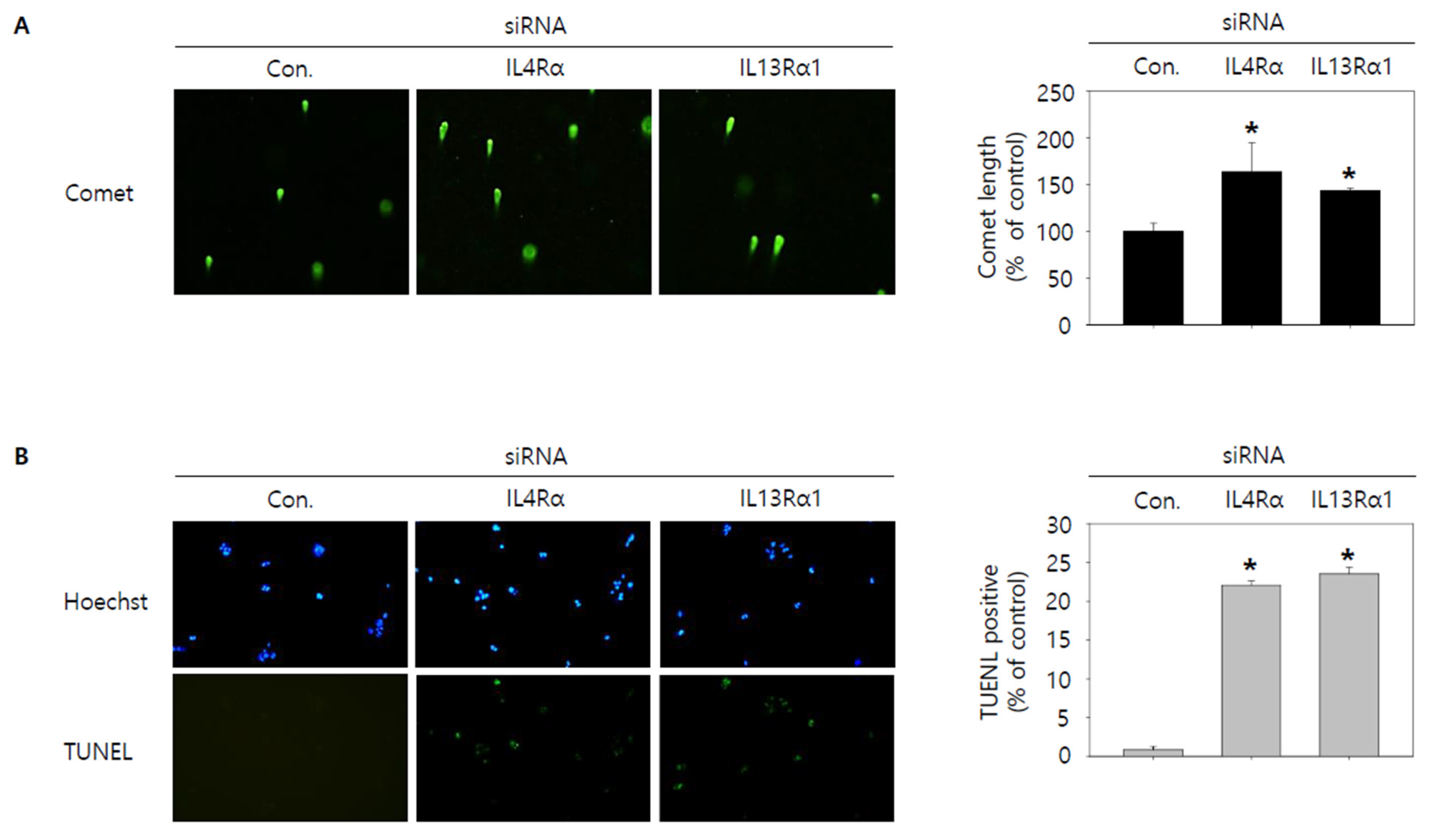 Jpm 12 00249 g005 Jpm 12 00249 g005