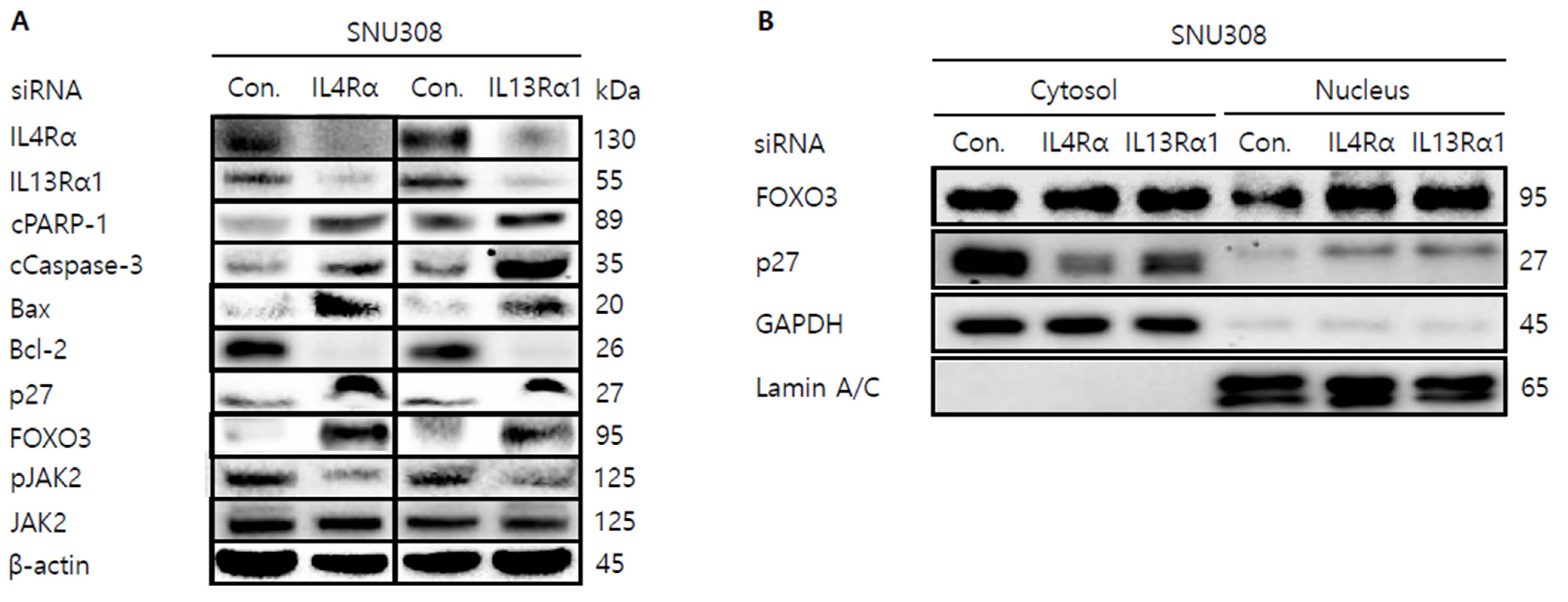 Jpm 12 00249 g006 Jpm 12 00249 g006