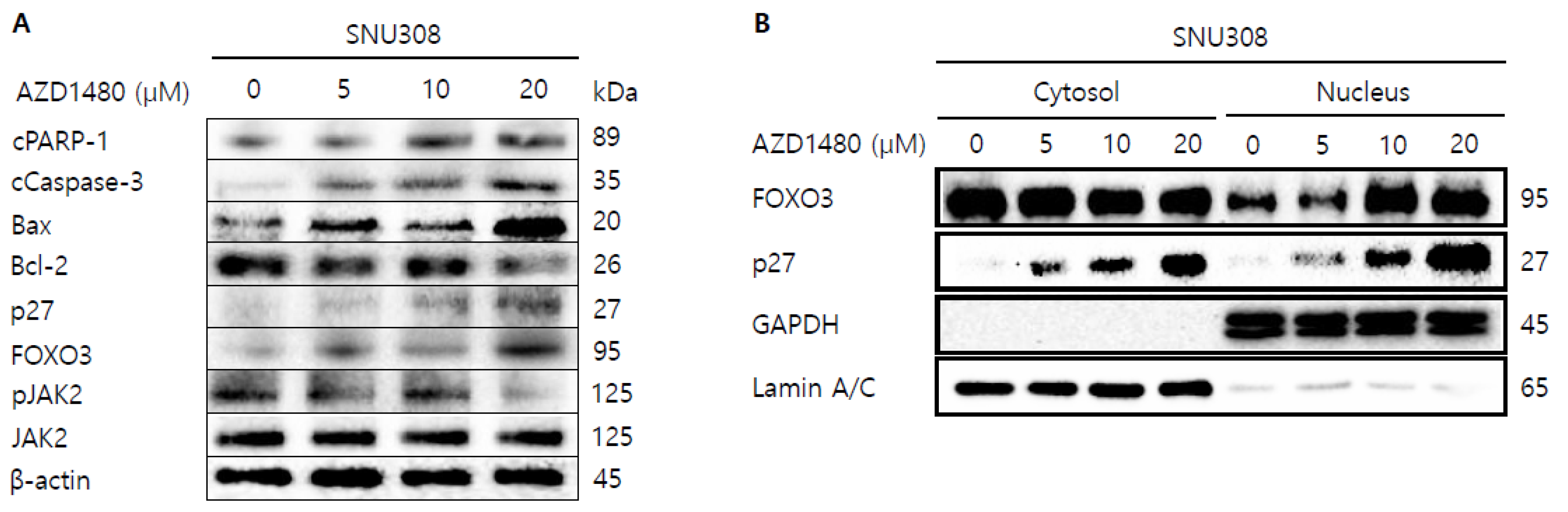 Jpm 12 00249 g010 Jpm 12 00249 g010