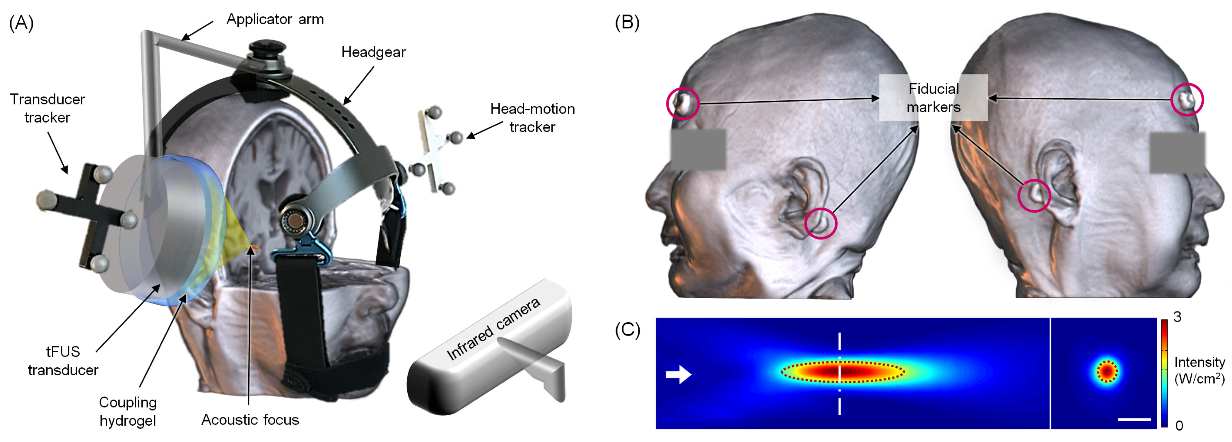 Jpm 12 00250 g002 550