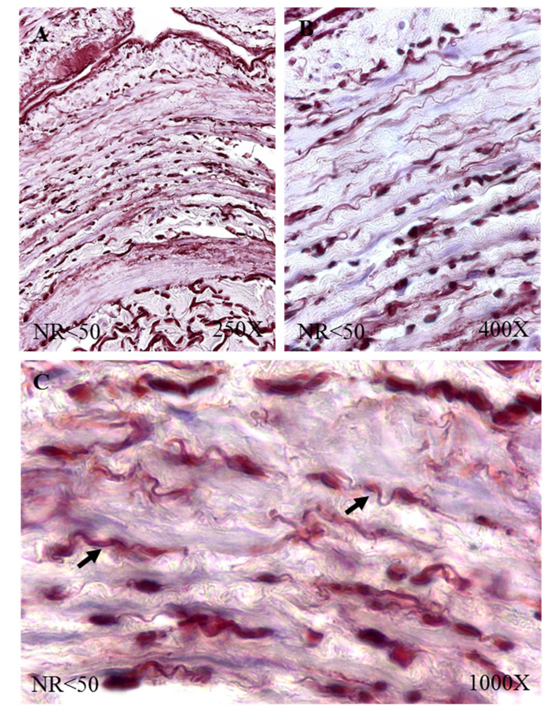 Jpm 12 00260 g002 550