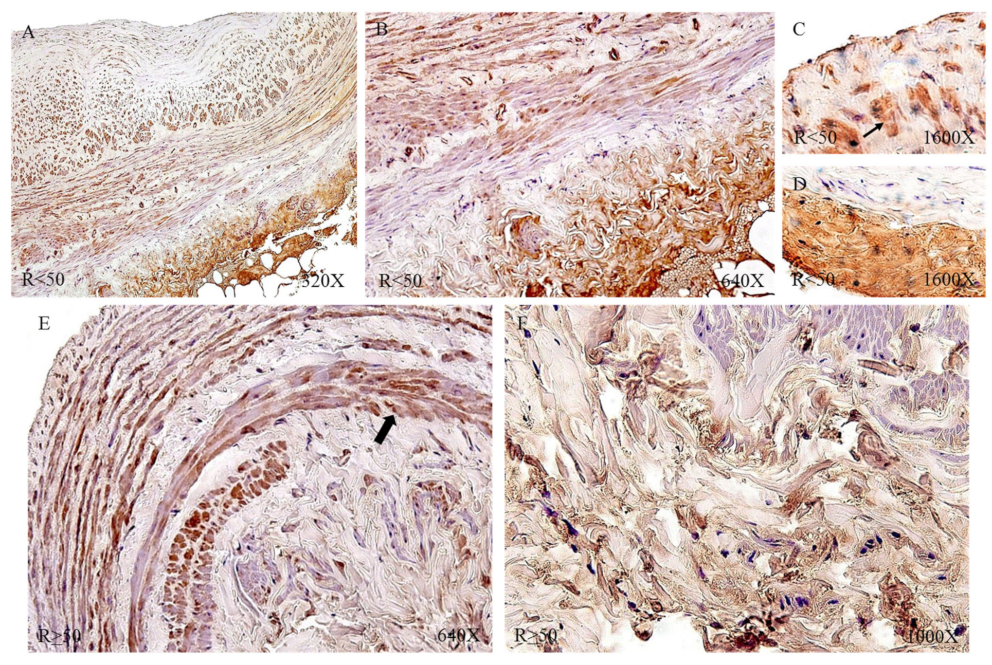 Jpm 12 00260 g008 550