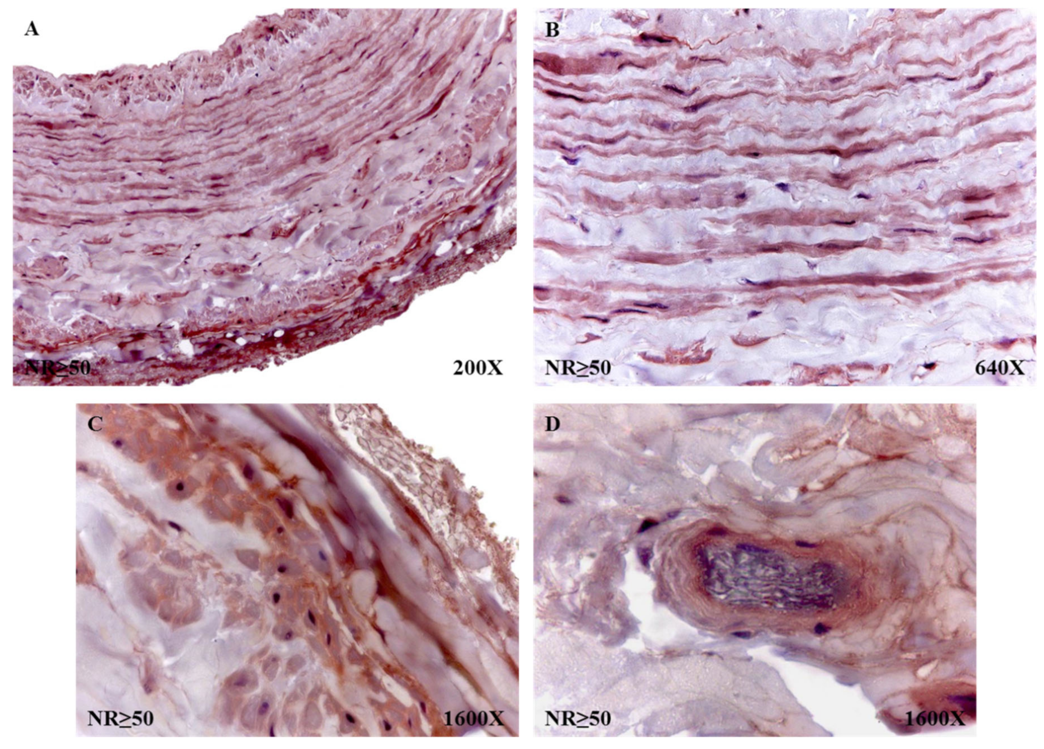 Jpm 12 00260 g010 550