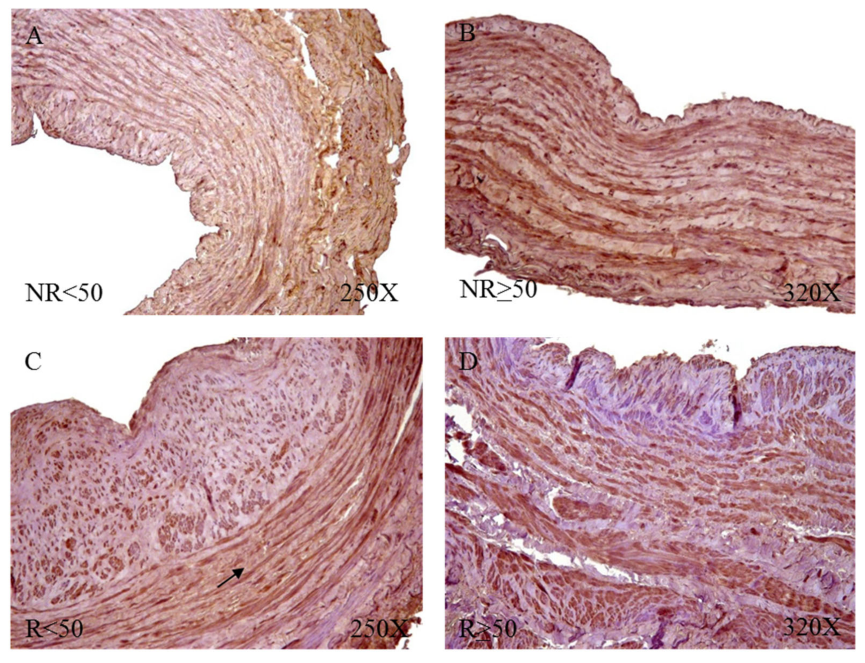 Jpm 12 00260 g013 550