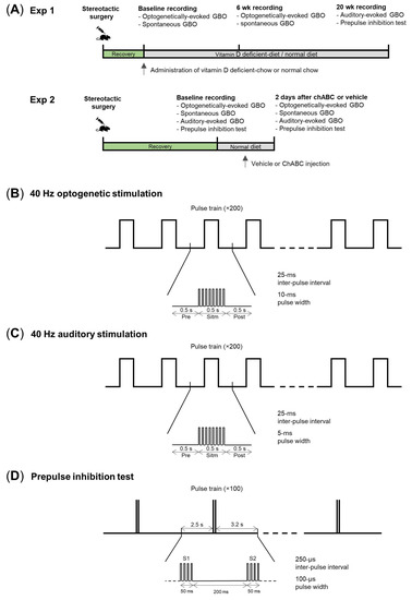 File:Keystone Symposia 2022 Neurocircuitry of Social Behavior.jpg