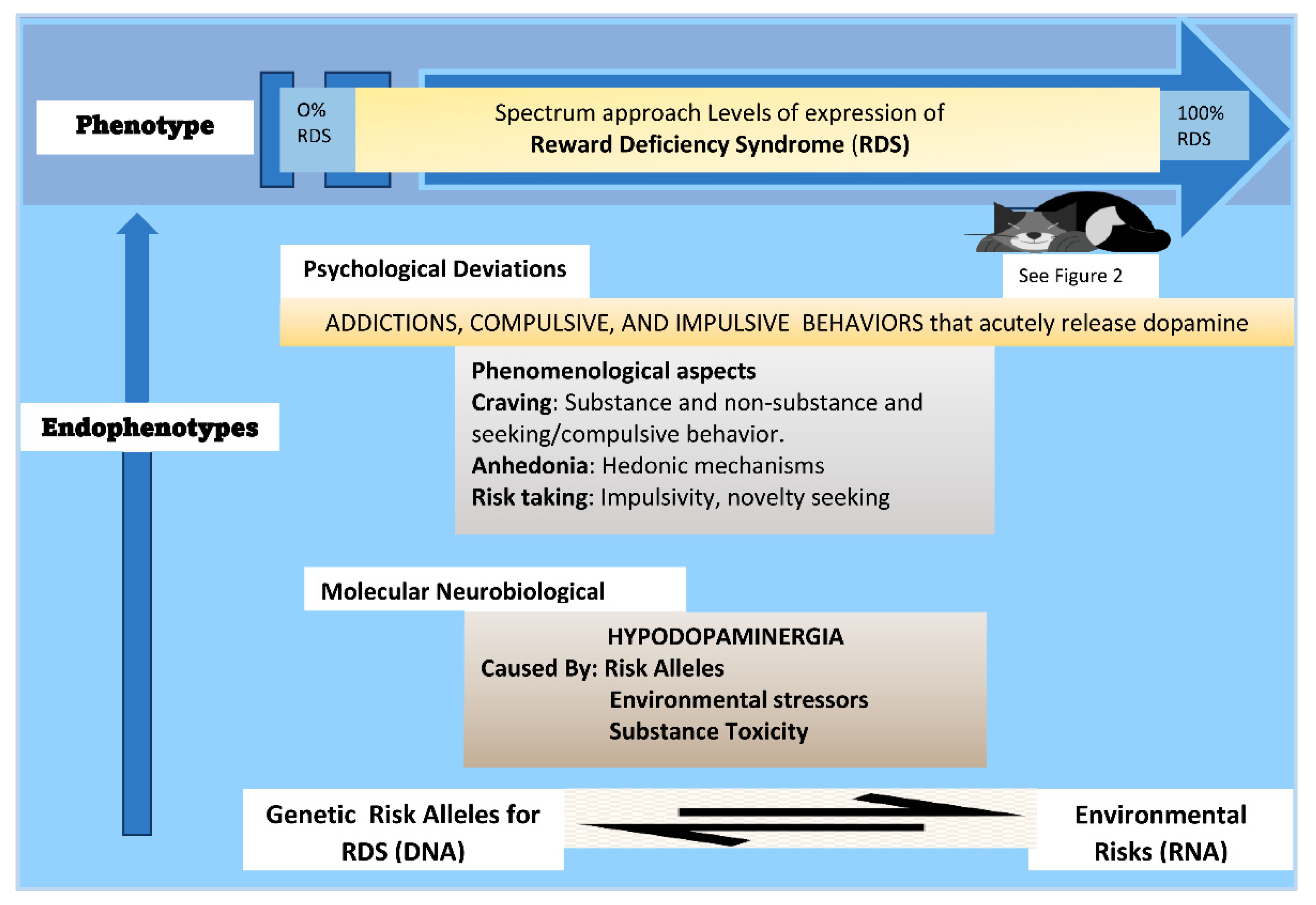 Jpm 12 00321 g003 Jpm 12 00321 g003