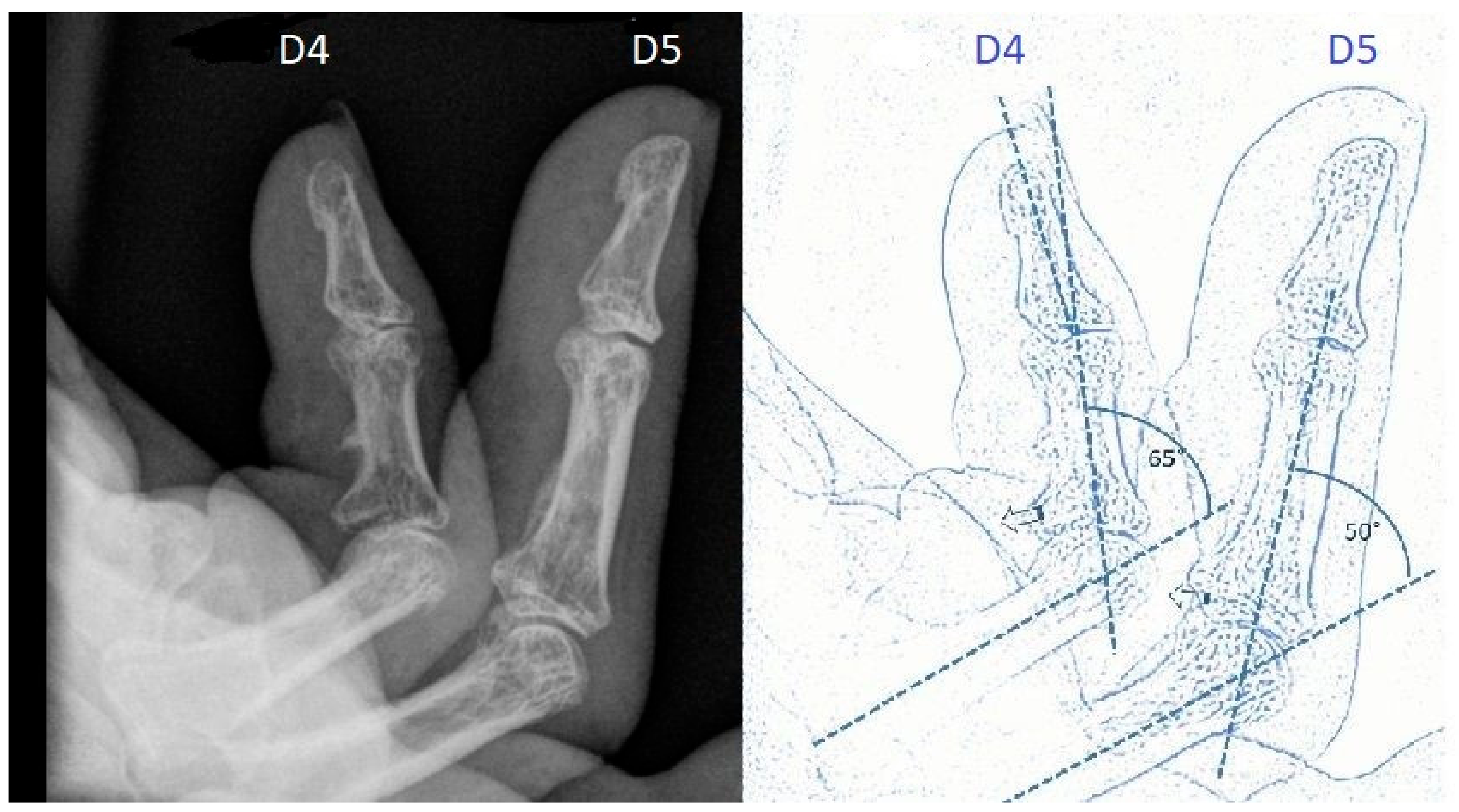 Jpm 12 00378 g006 550