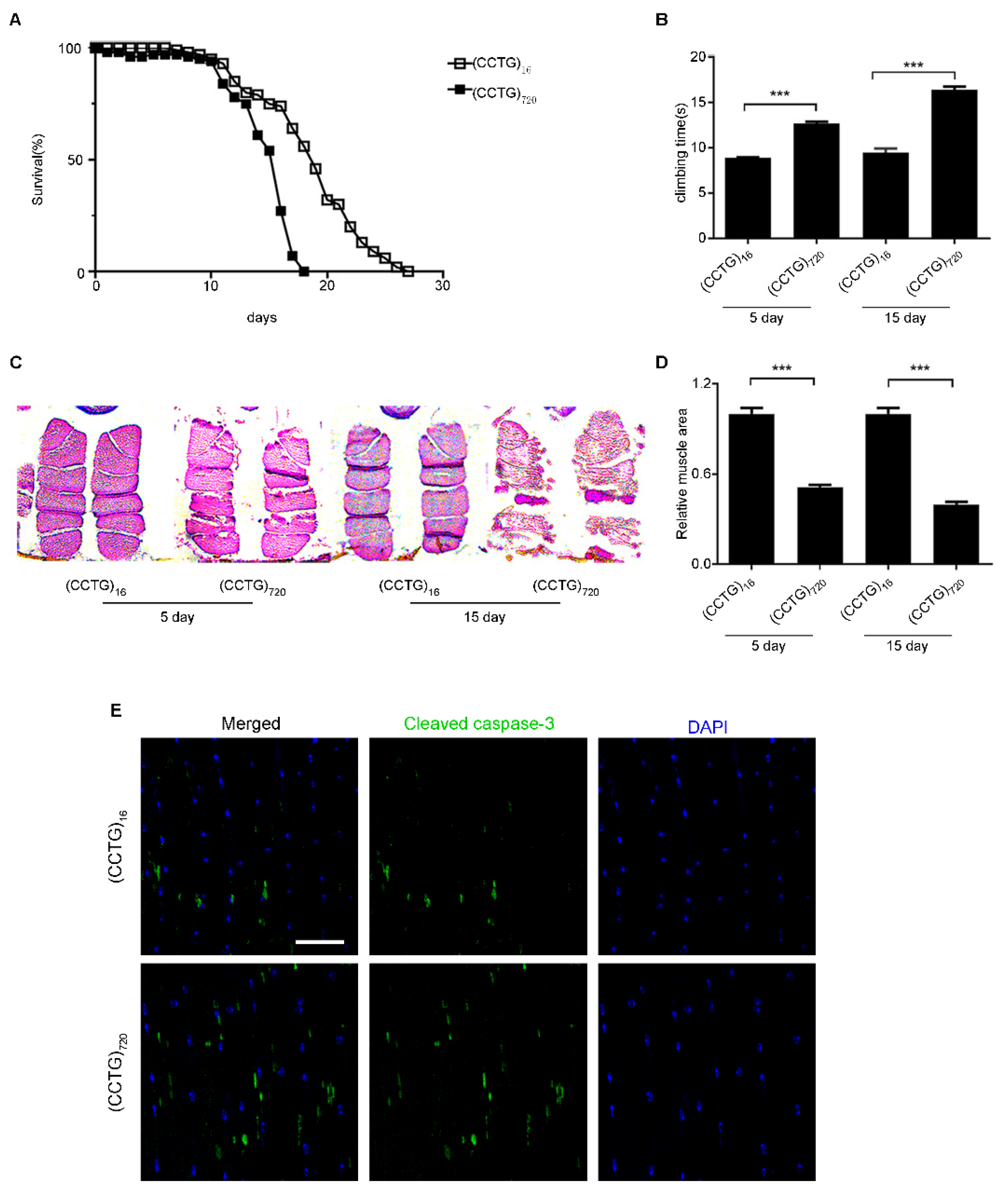 Jpm 12 00385 g002 Jpm 12 00385 g002