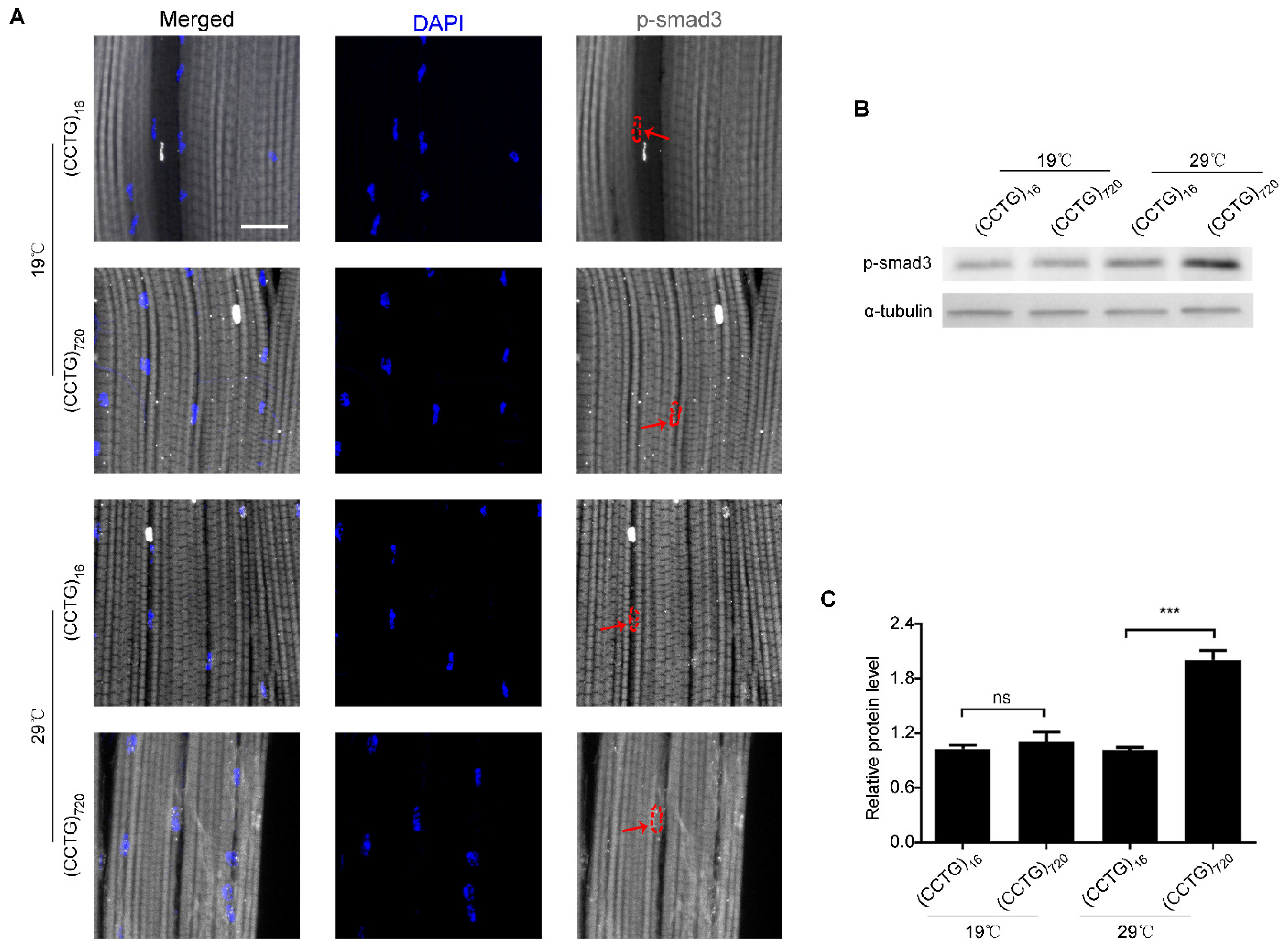Jpm 12 00385 g003 Jpm 12 00385 g003