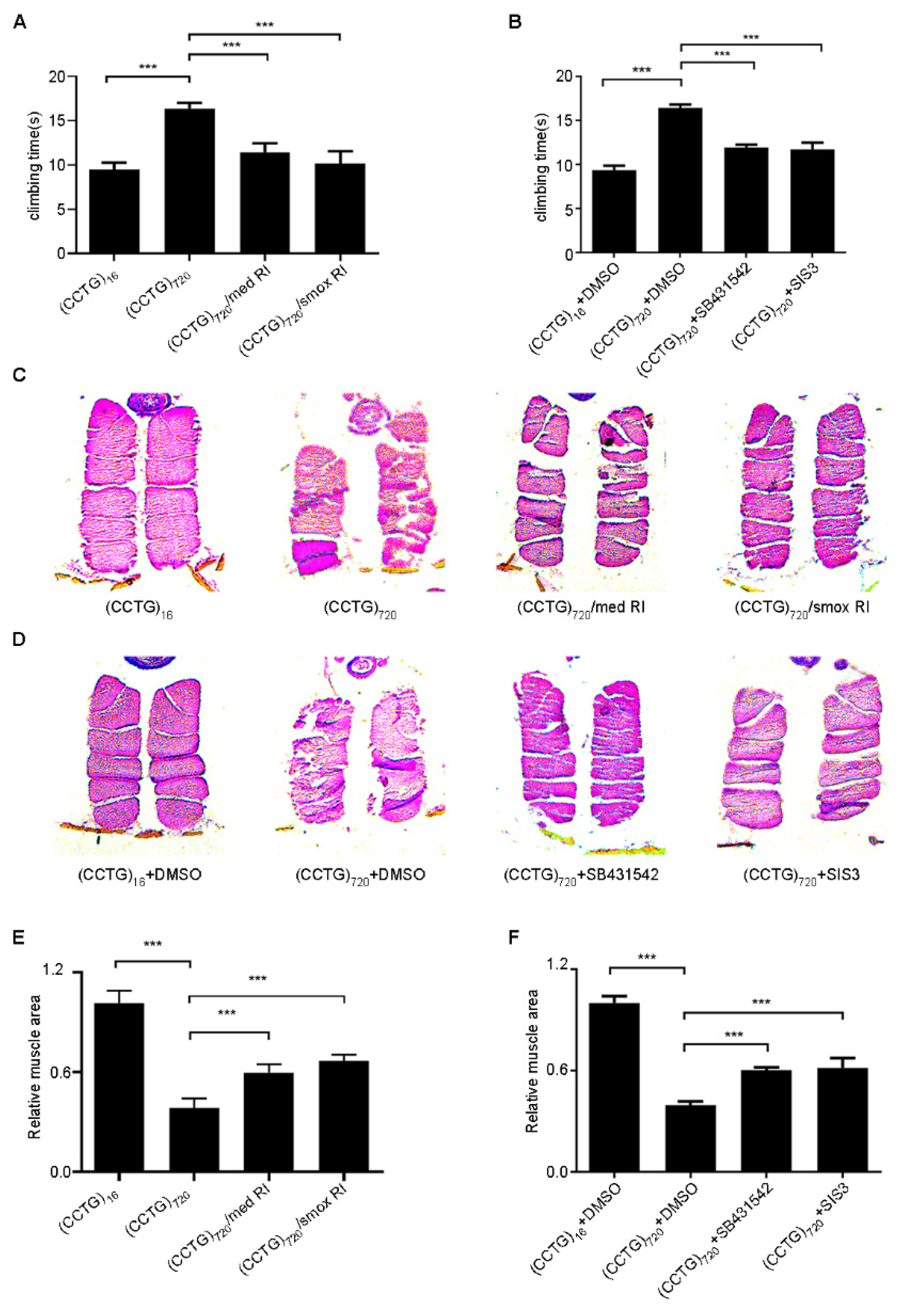 Jpm 12 00385 g004 Jpm 12 00385 g004