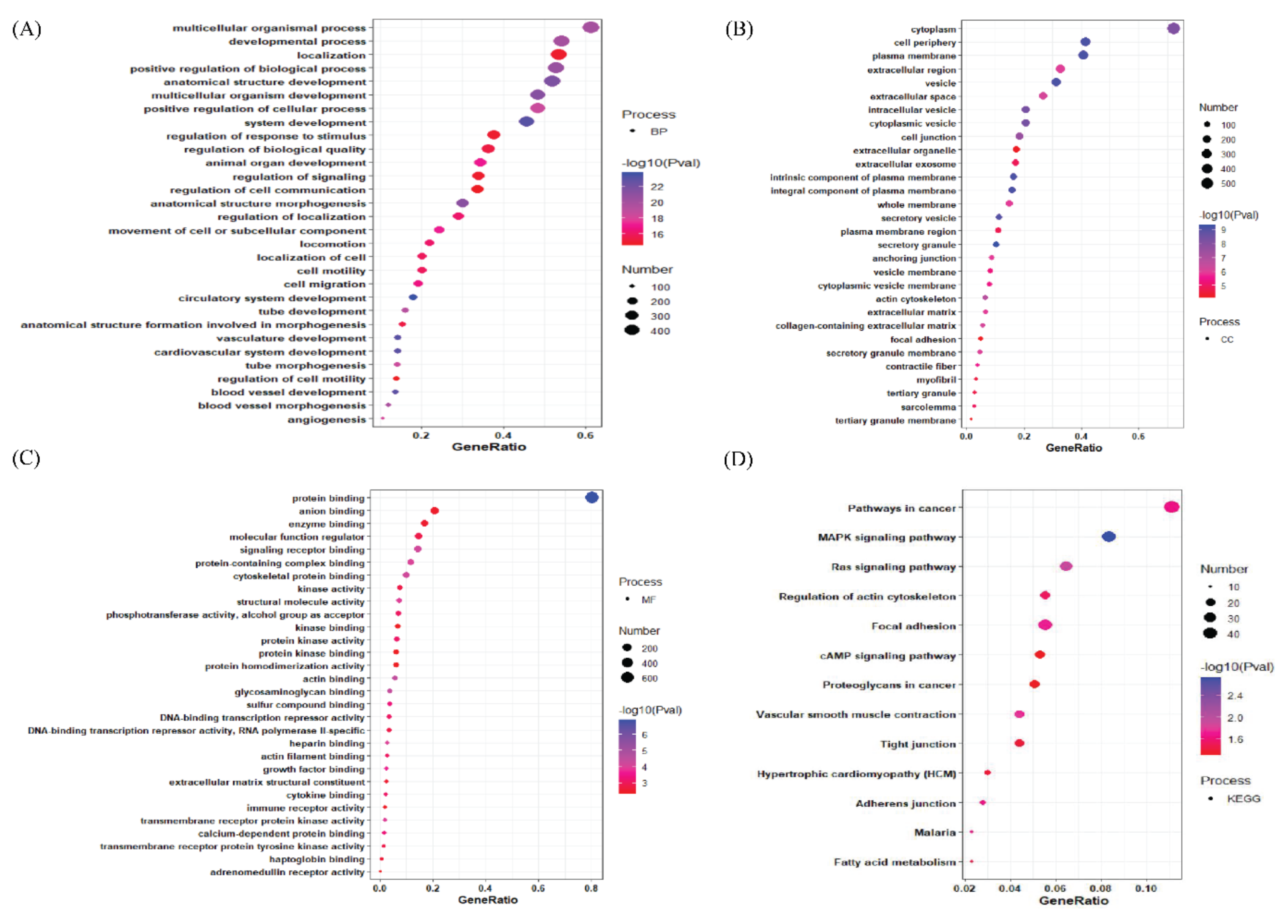 Jpm 12 00393 g004 Jpm 12 00393 g004