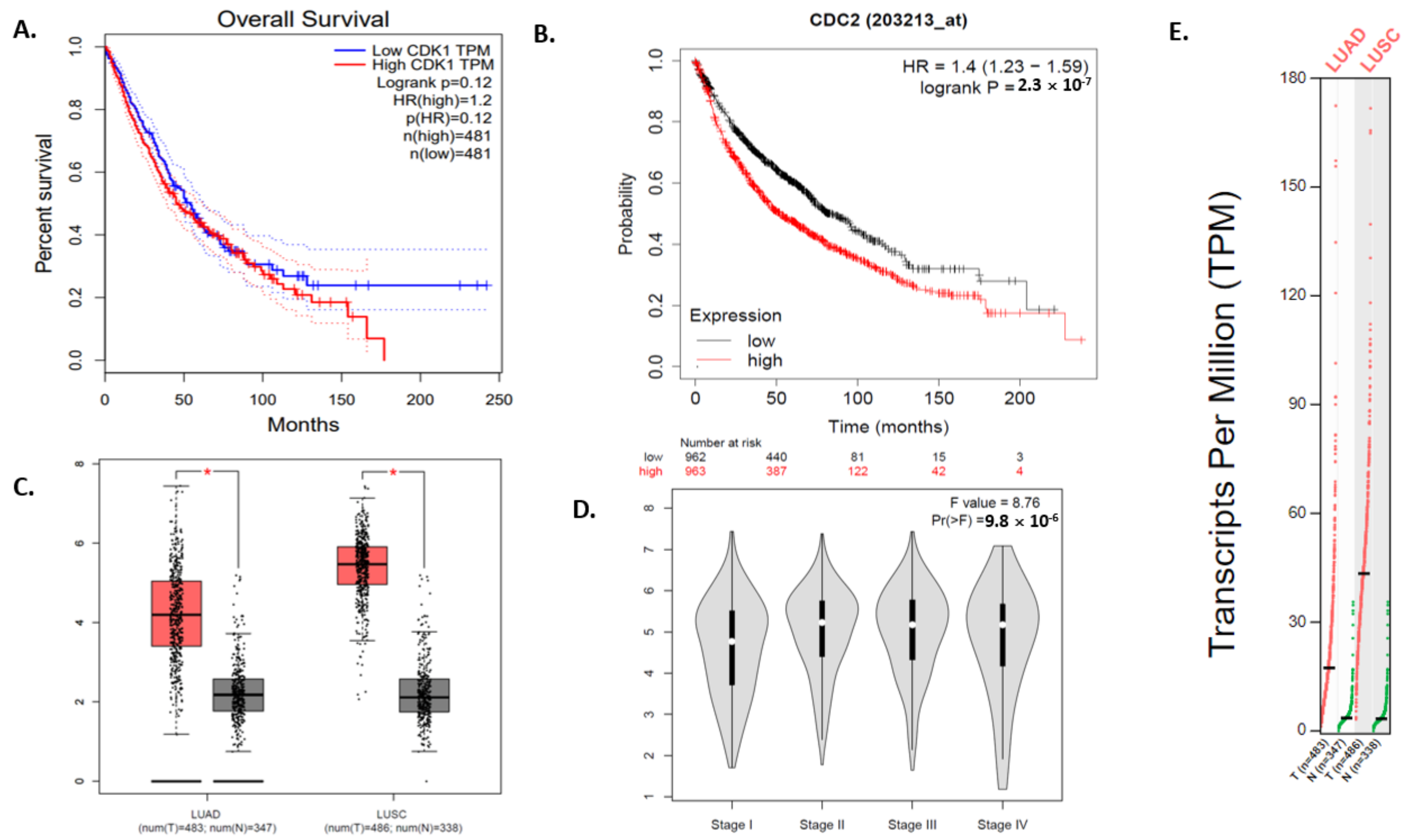 Jpm 12 00393 g008 Jpm 12 00393 g008