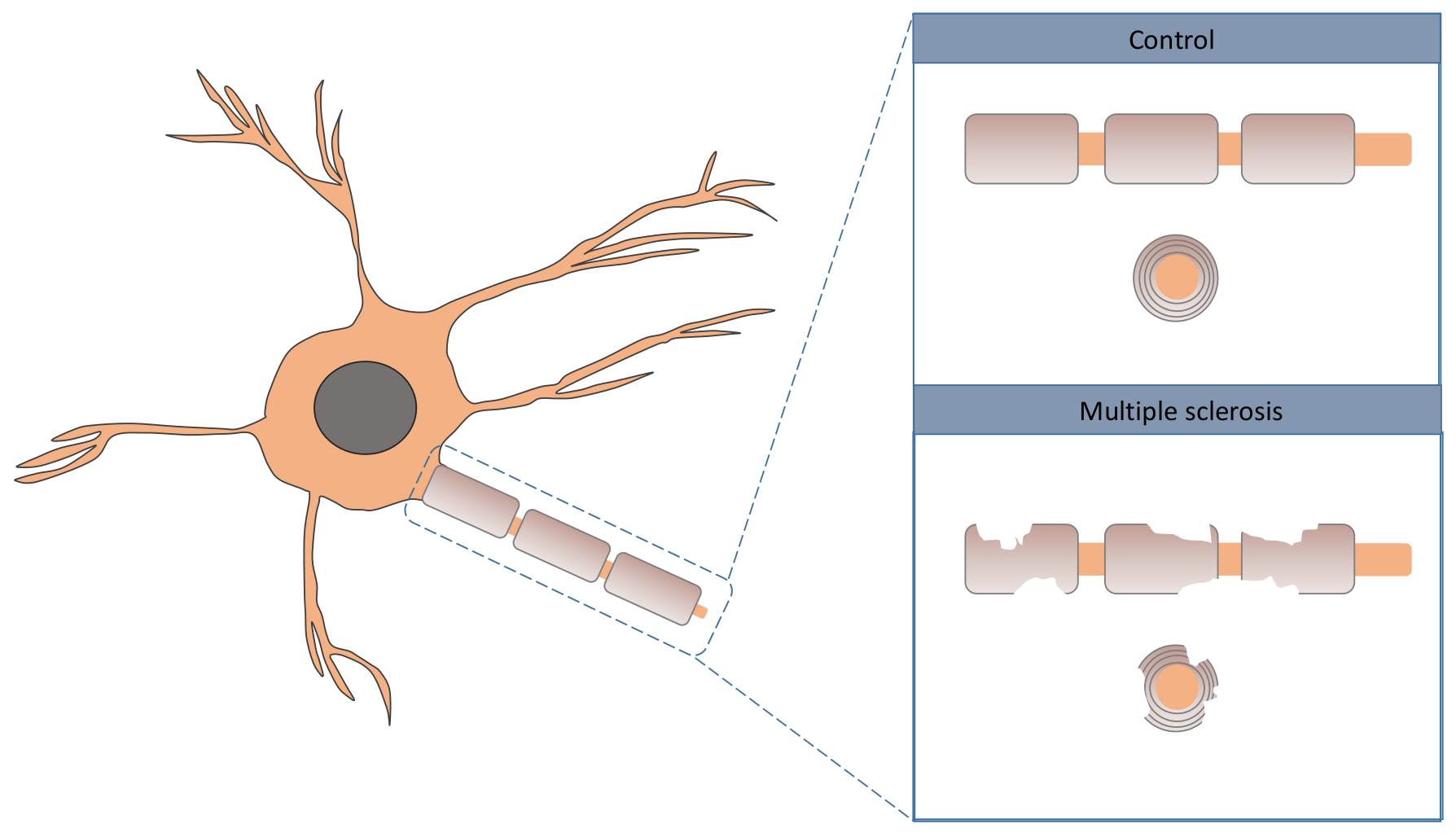 Jpm 12 00398 g001 550