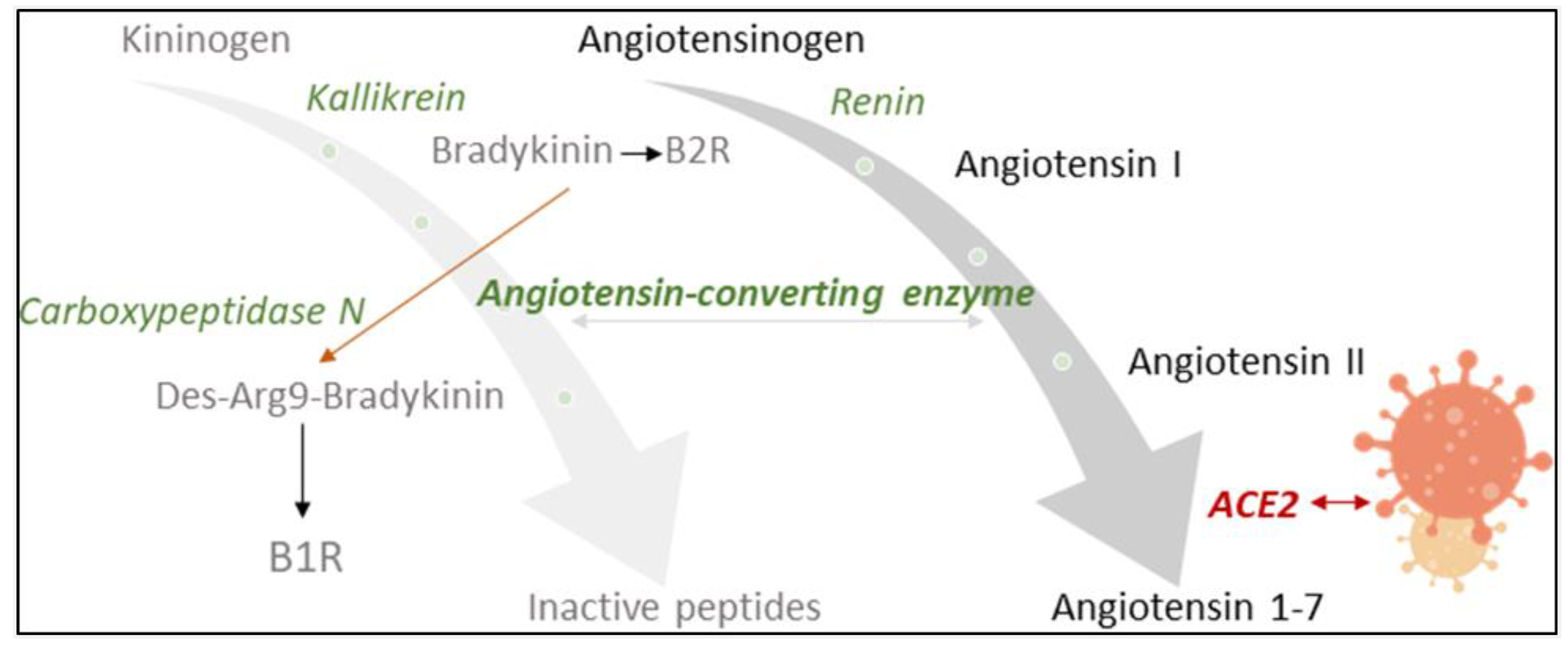 Jpm 12 00406 g001 550