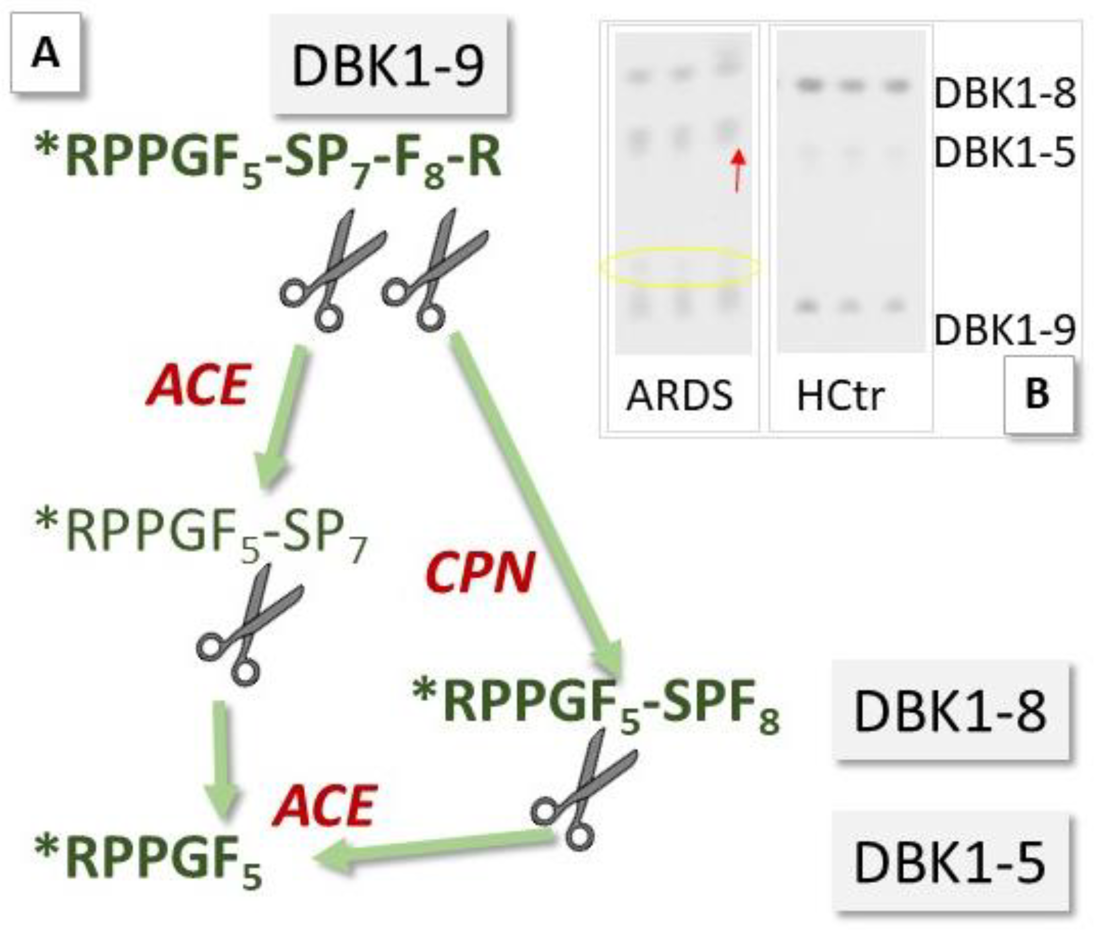 Jpm 12 00406 g002 550