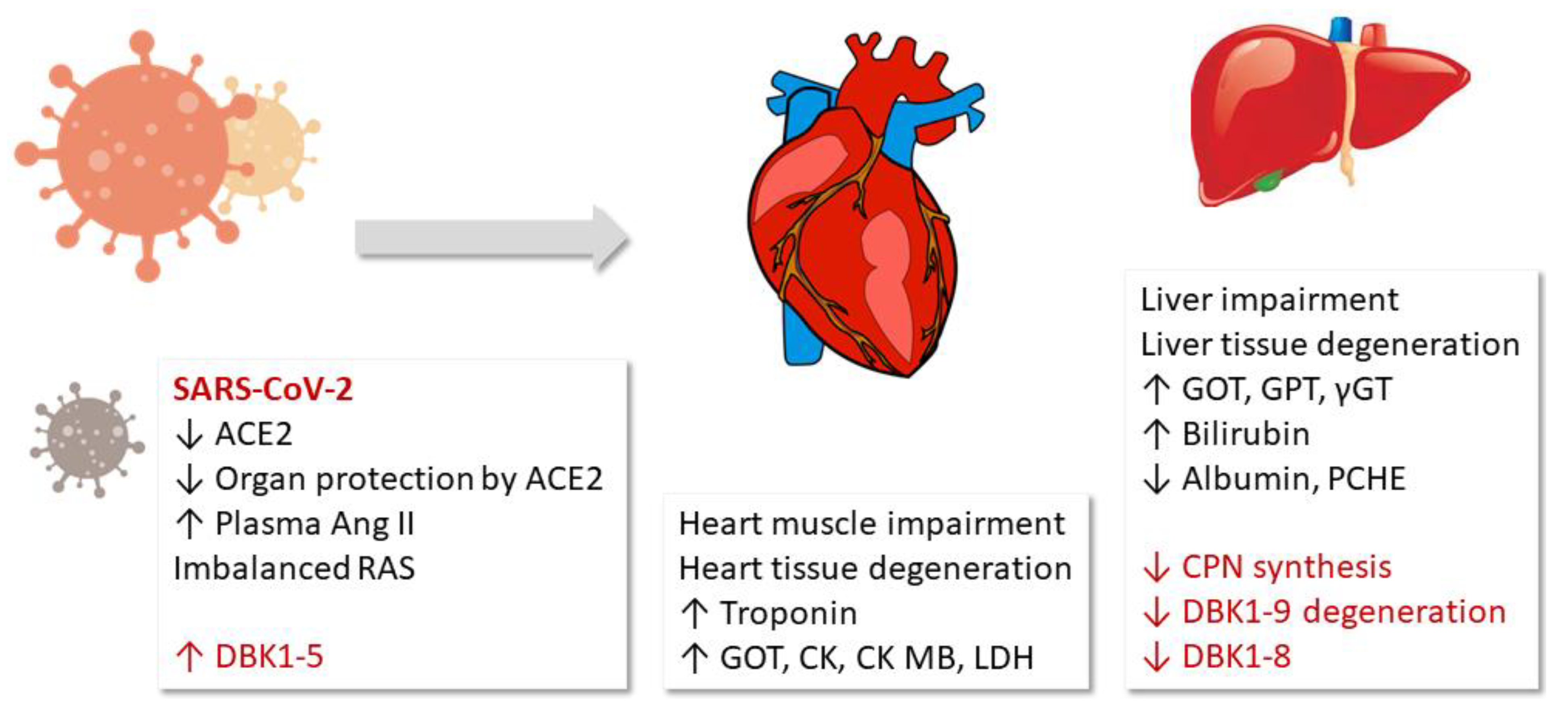 Jpm 12 00406 g005 550