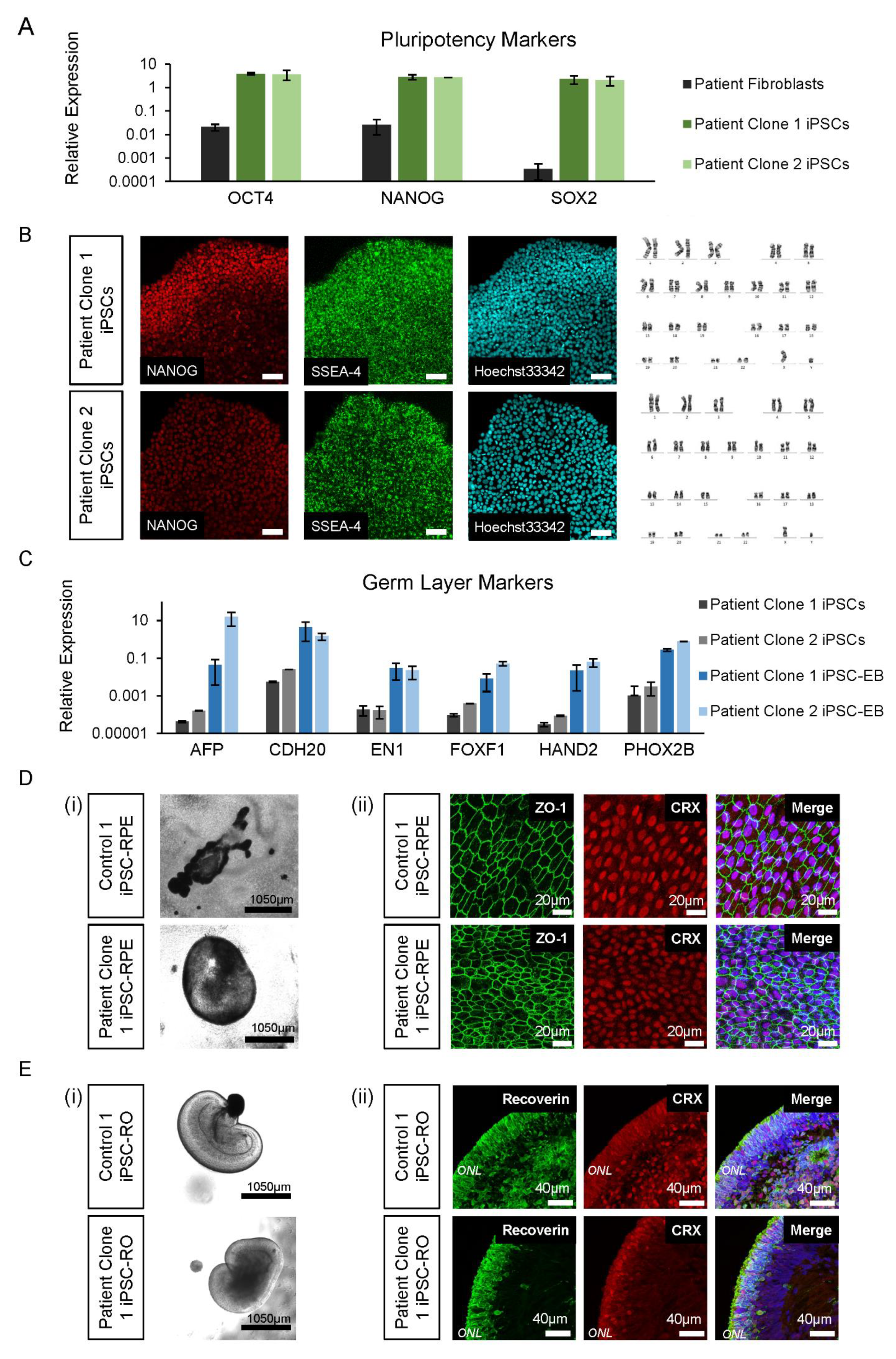 Jpm 12 00502 g003 550