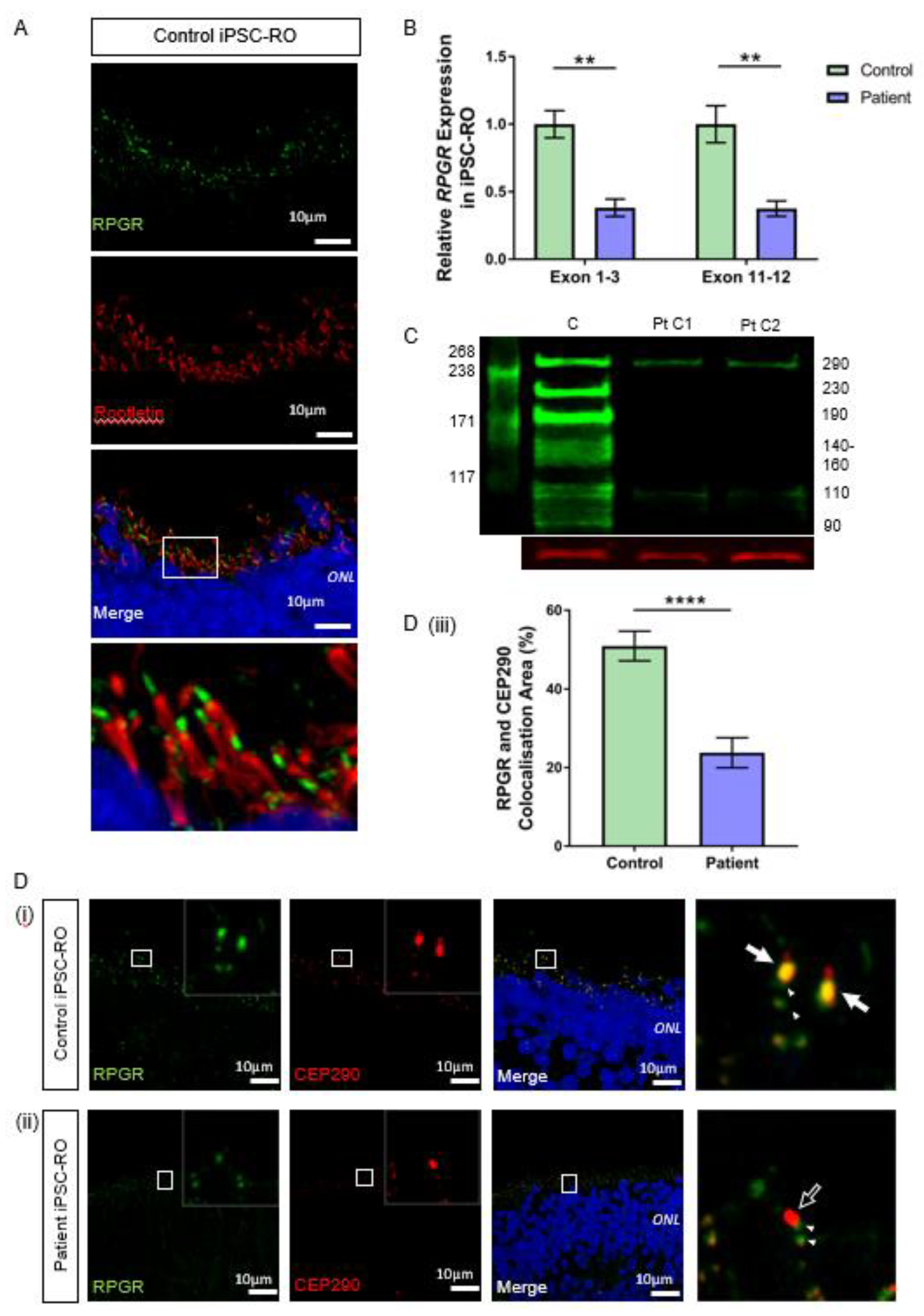 Jpm 12 00502 g005 550
