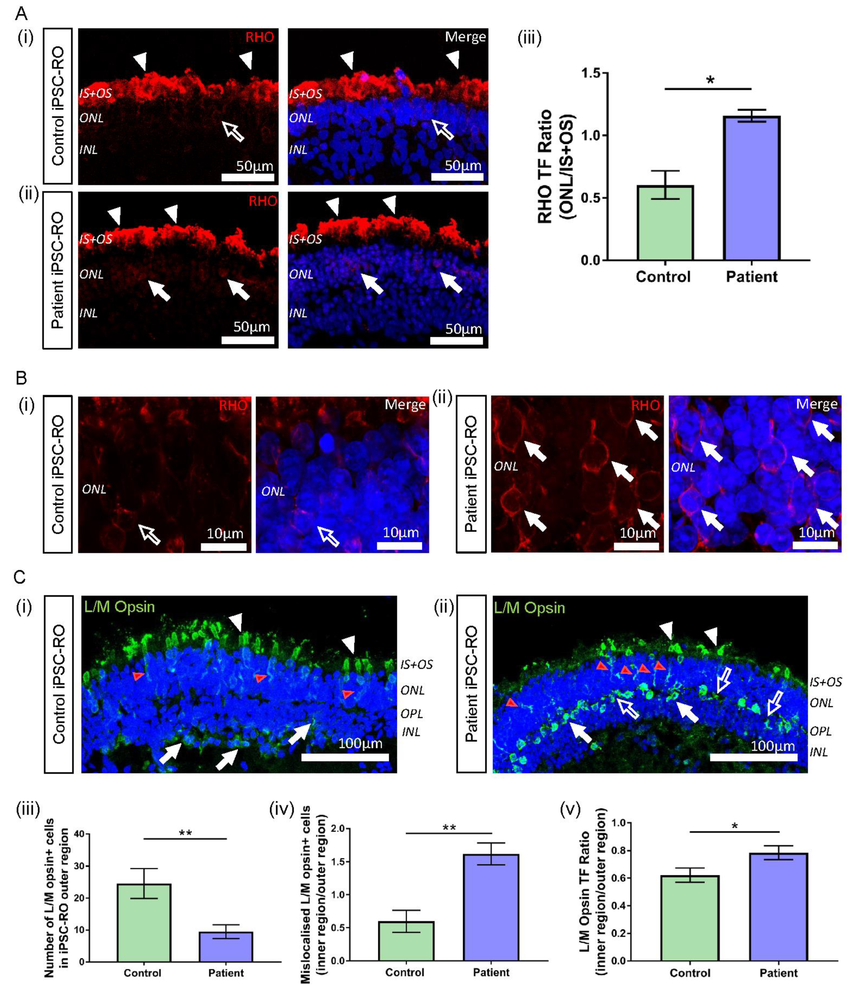 Jpm 12 00502 g006 550