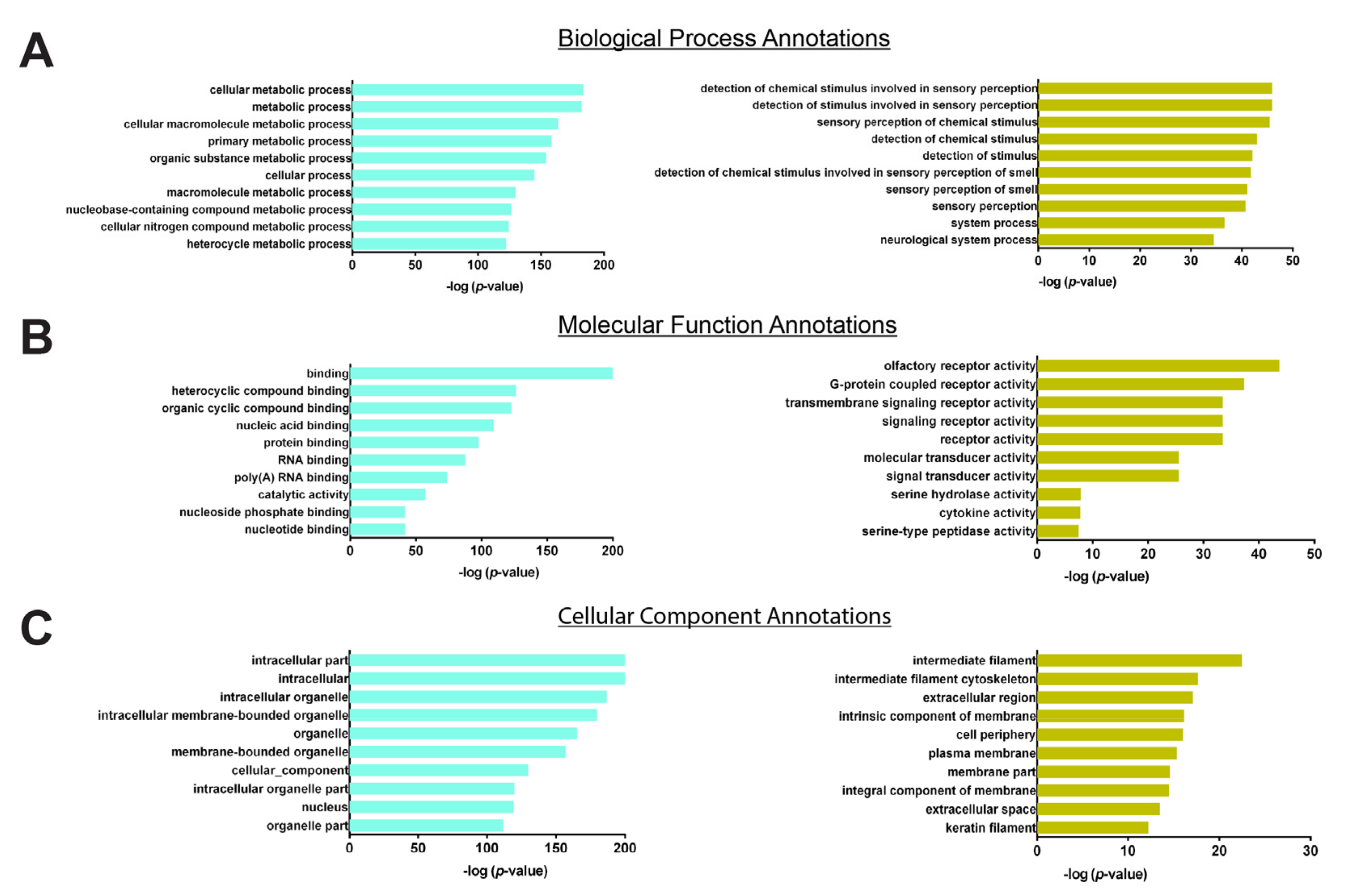 Jpm 12 00525 g004 Jpm 12 00525 g004