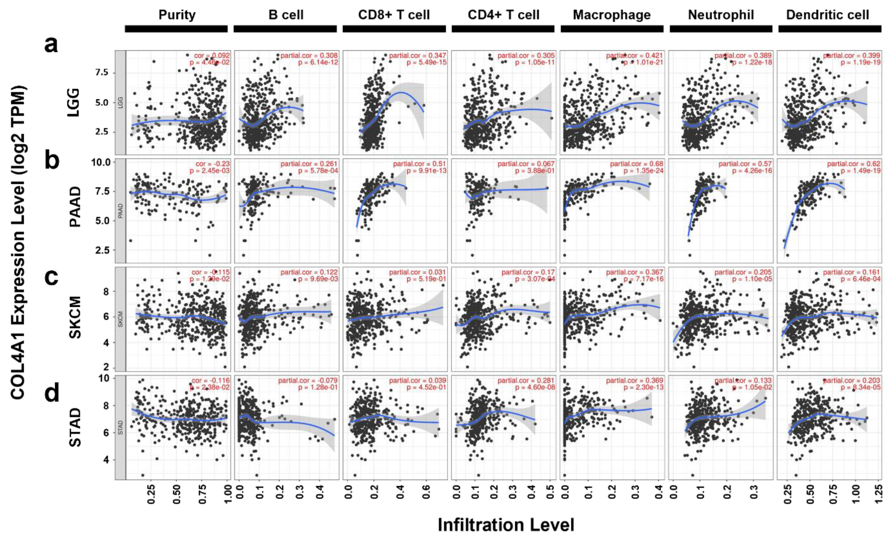 Jpm 12 00534 g004 Jpm 12 00534 g004