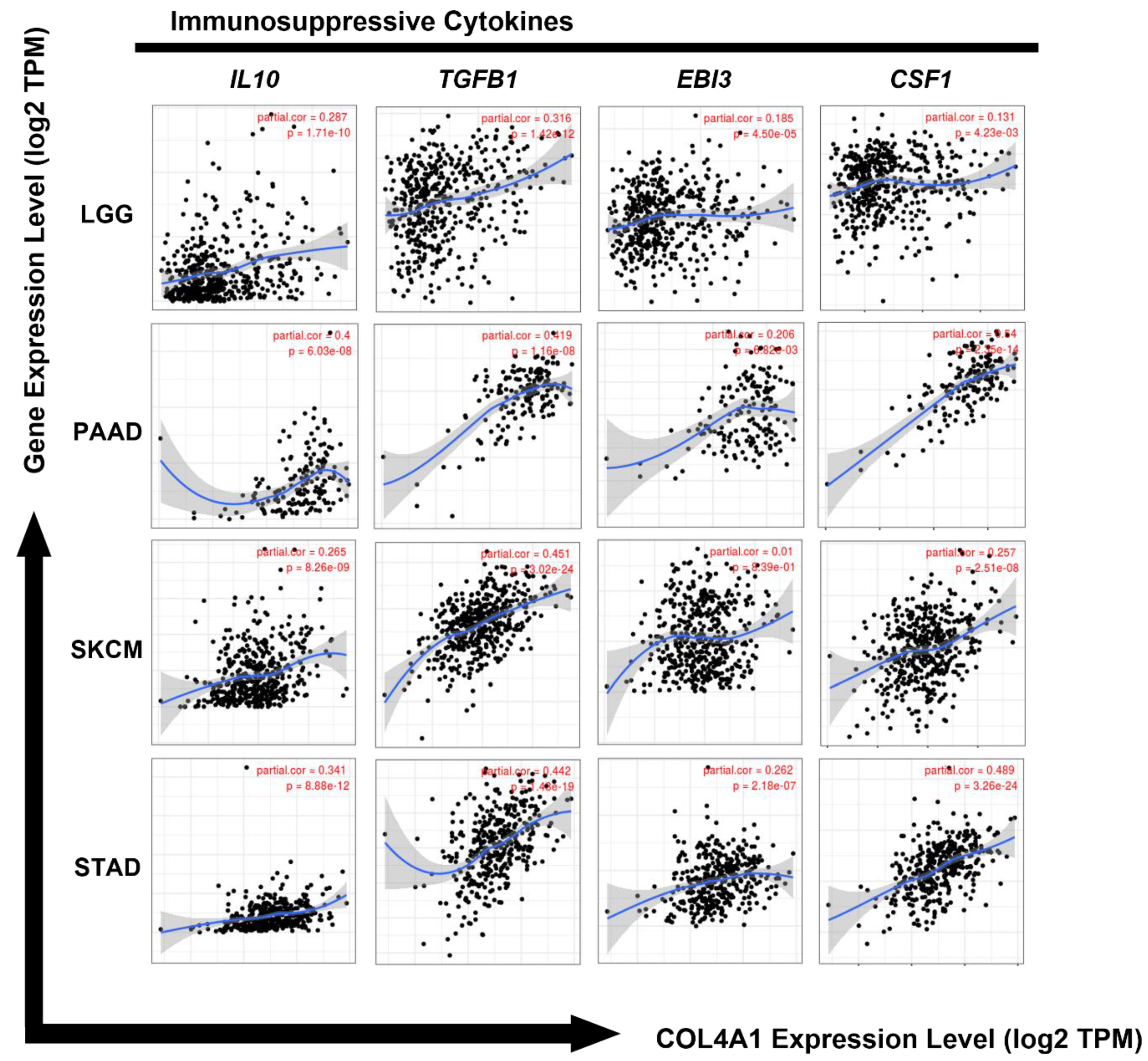 Jpm 12 00534 g006 Jpm 12 00534 g006