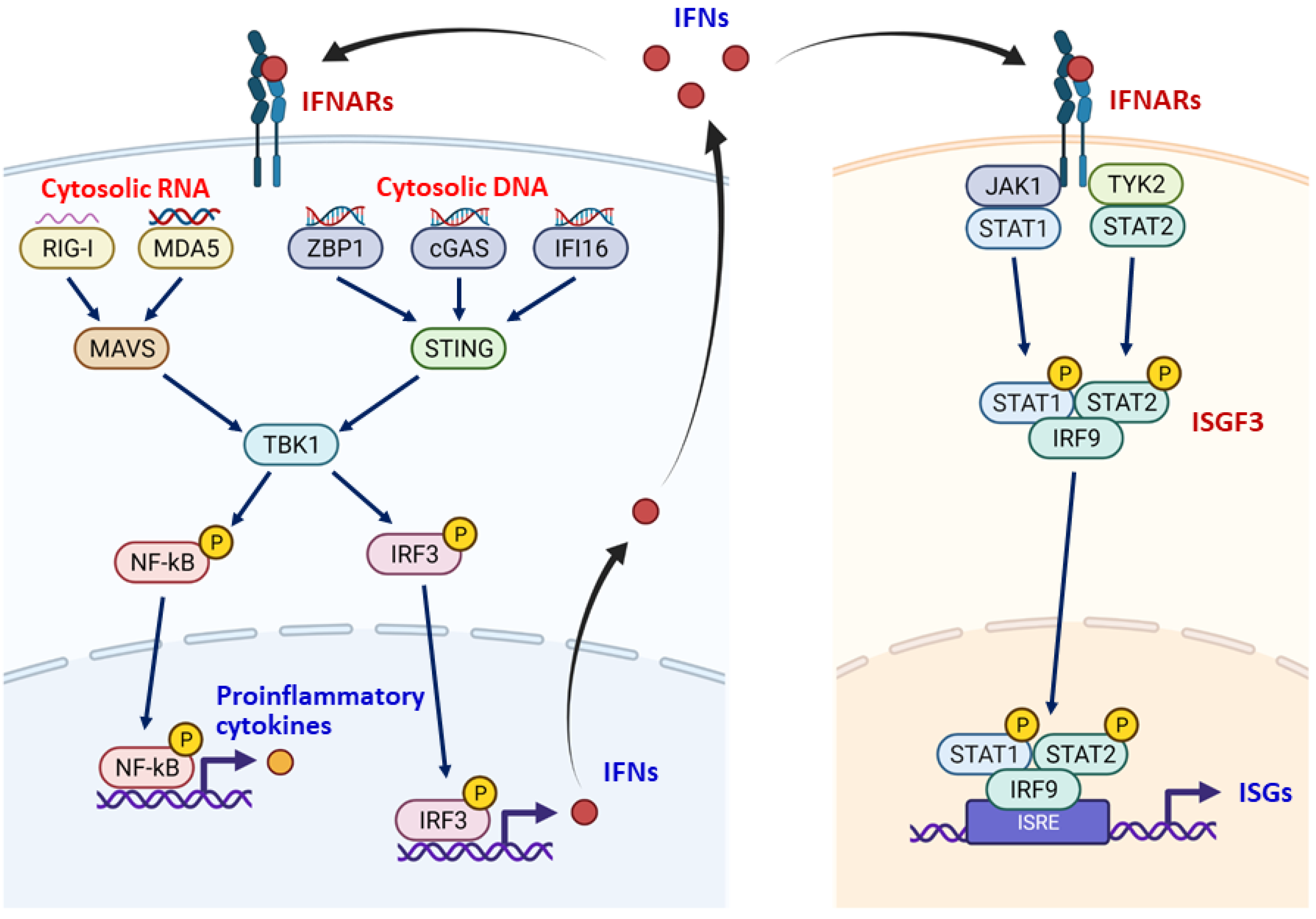 Jpm 12 00556 g002 550