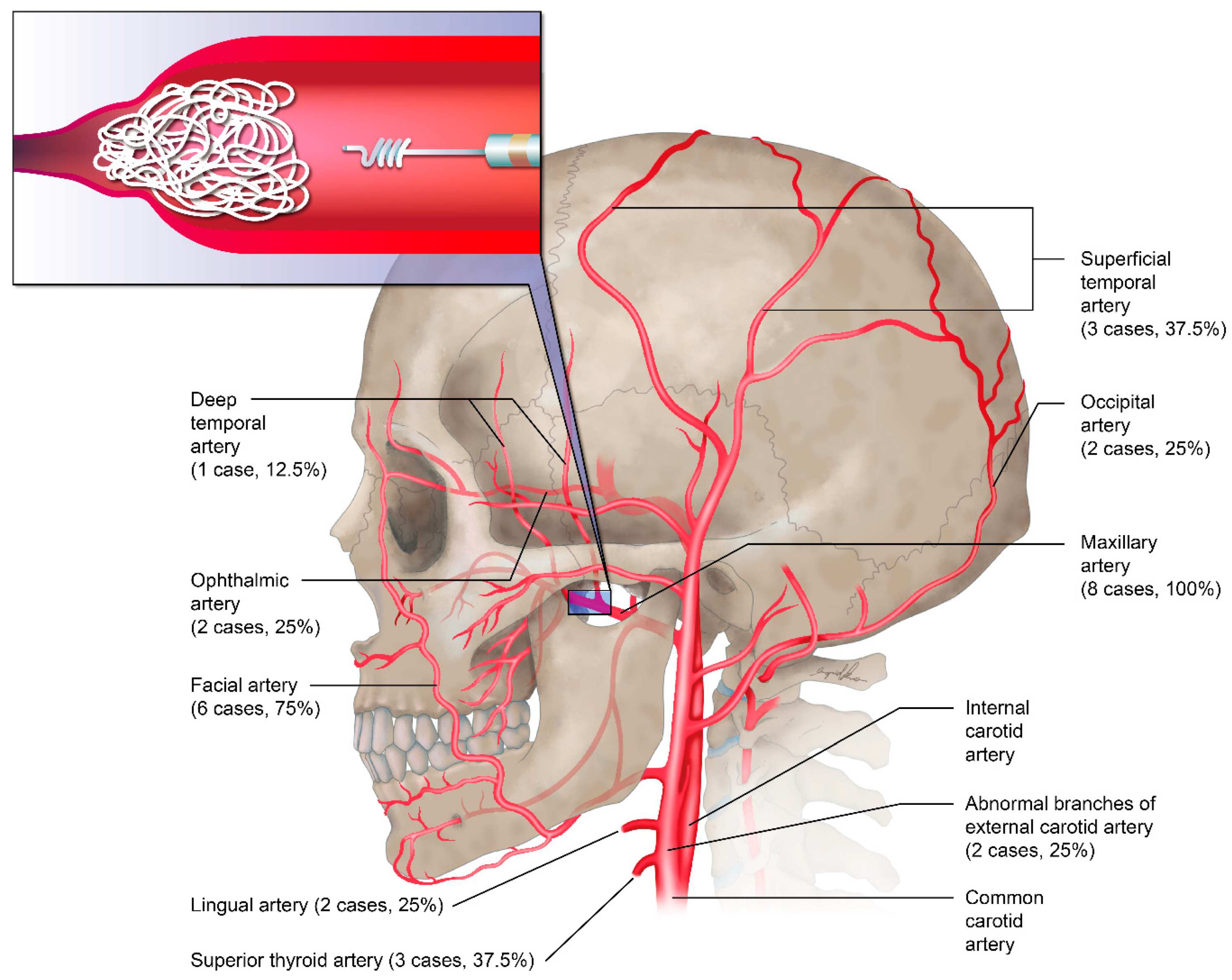 Jpm 12 00558 g002 550