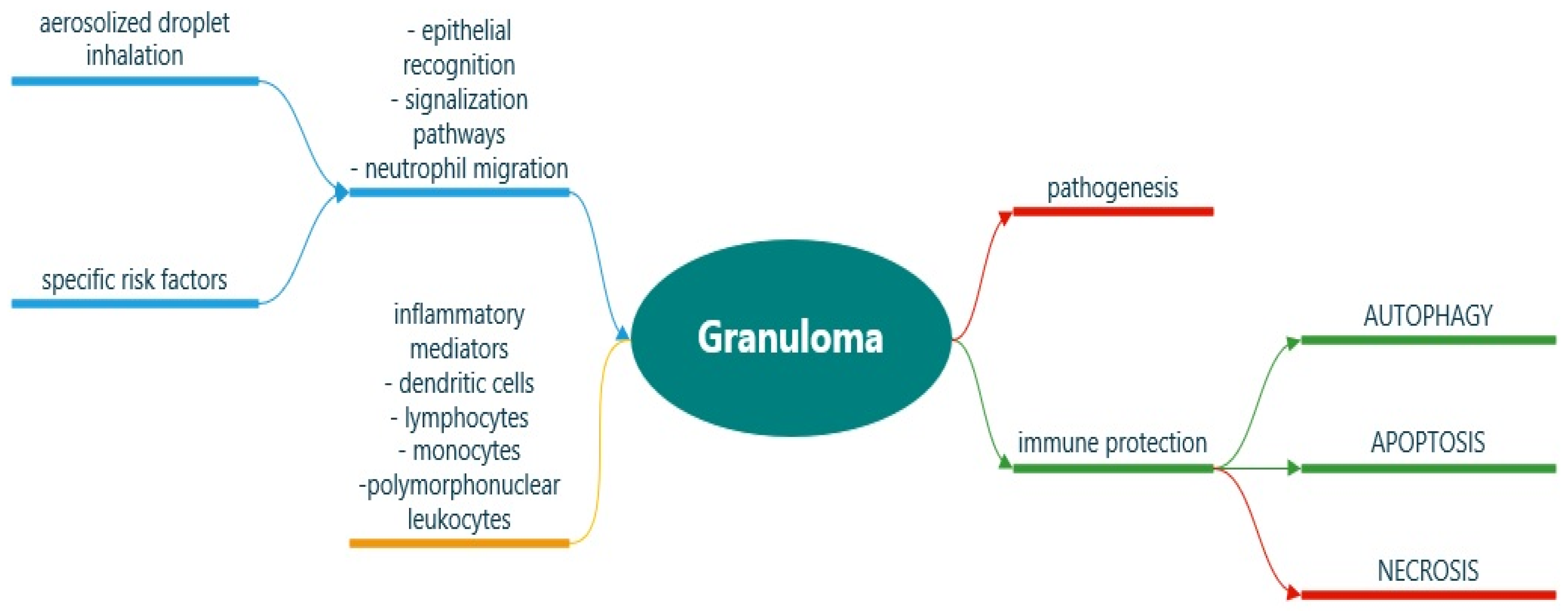 Jpm 12 00569 g002 550