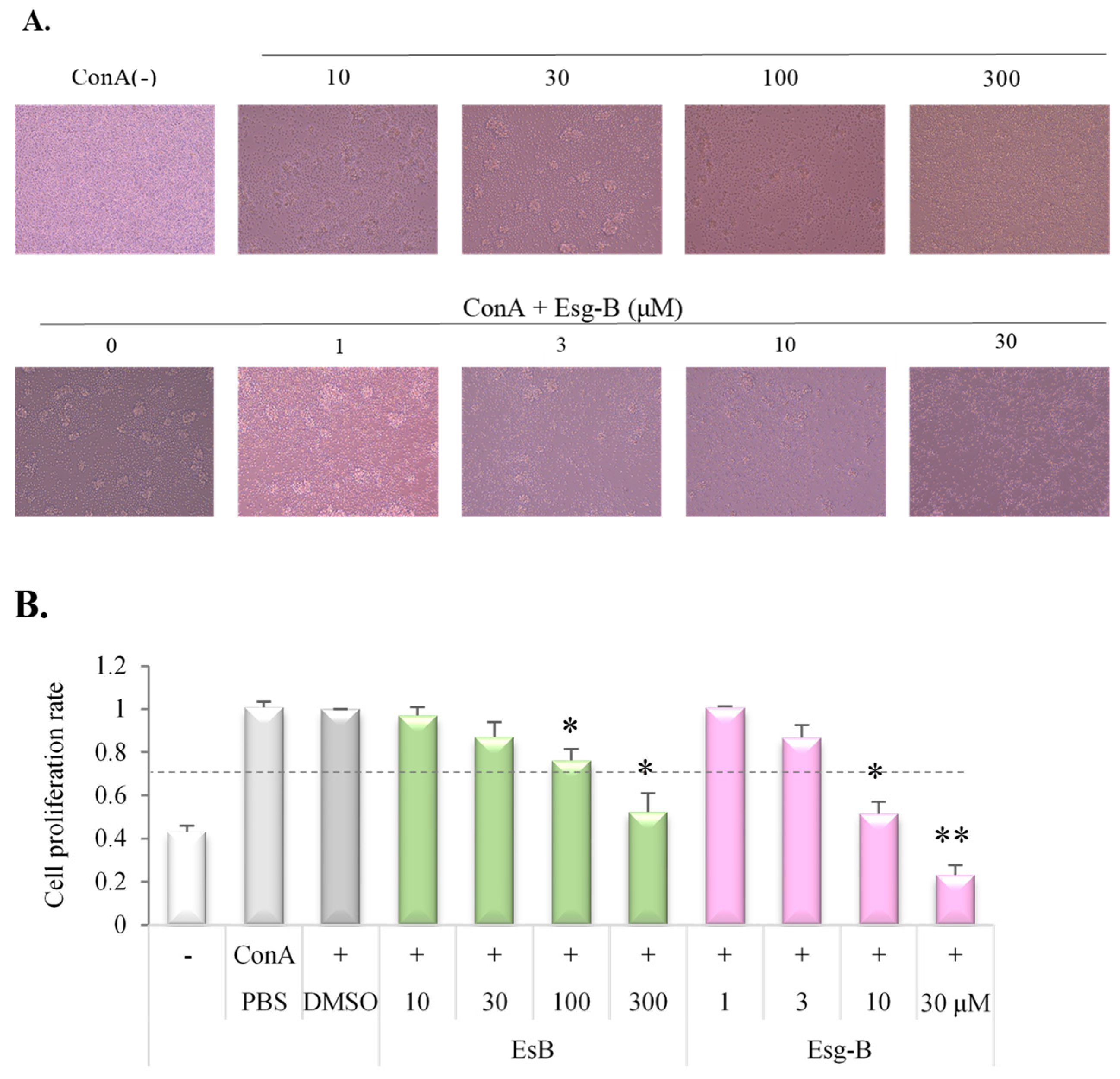 Jpm 12 00579 g003 550