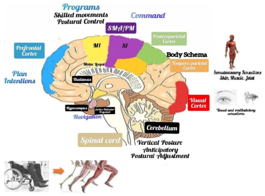 Jpm 12 00619 g004 Jpm 12 00619 g004